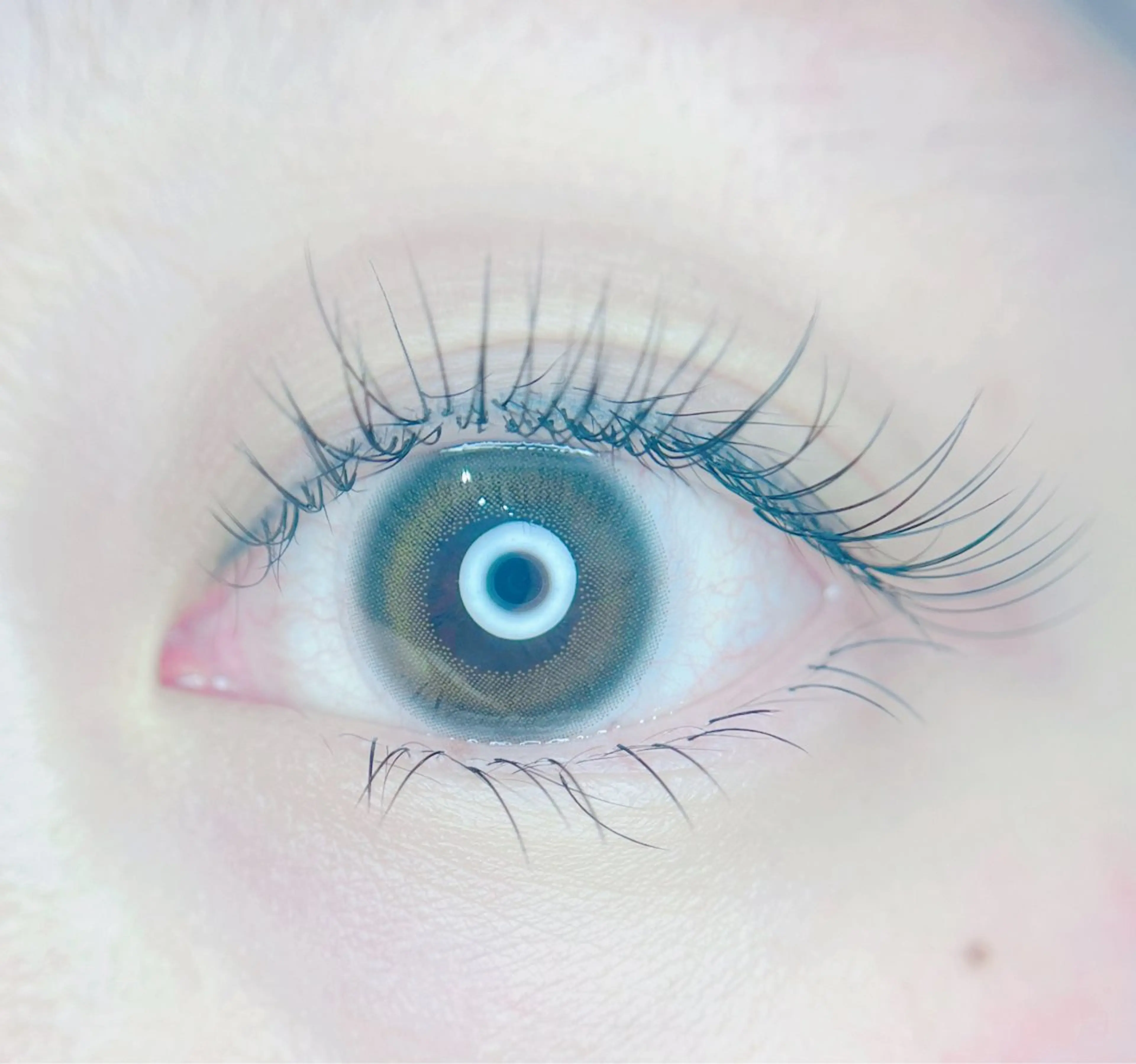 マツエク・マツパ Max salon Eyelashのマツエク・マツパデザイン