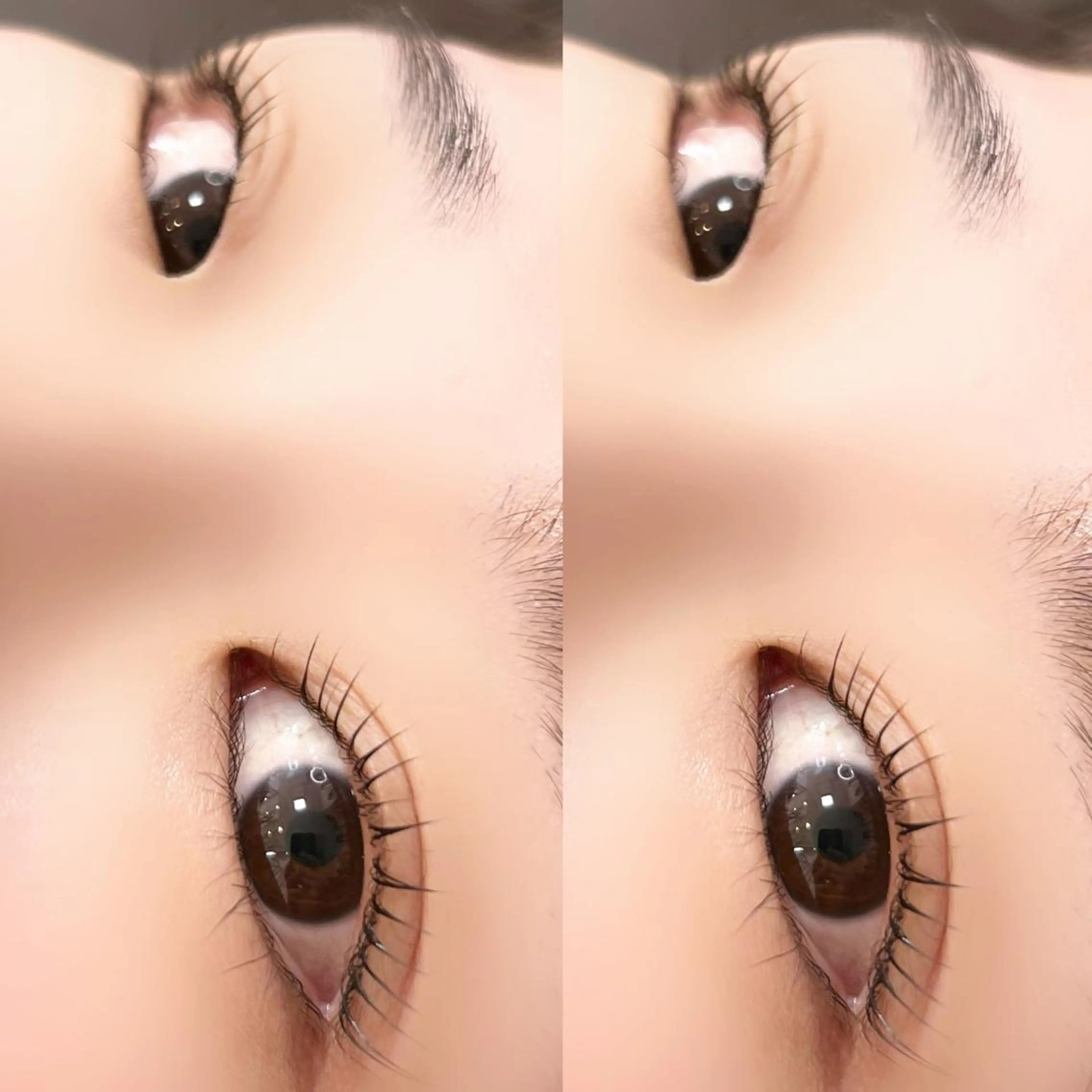 マツエク・マツパ パリジェンヌラッシュリフト マツパ 【myonsil】 Suzuki*のマツエク・マツパデザイン