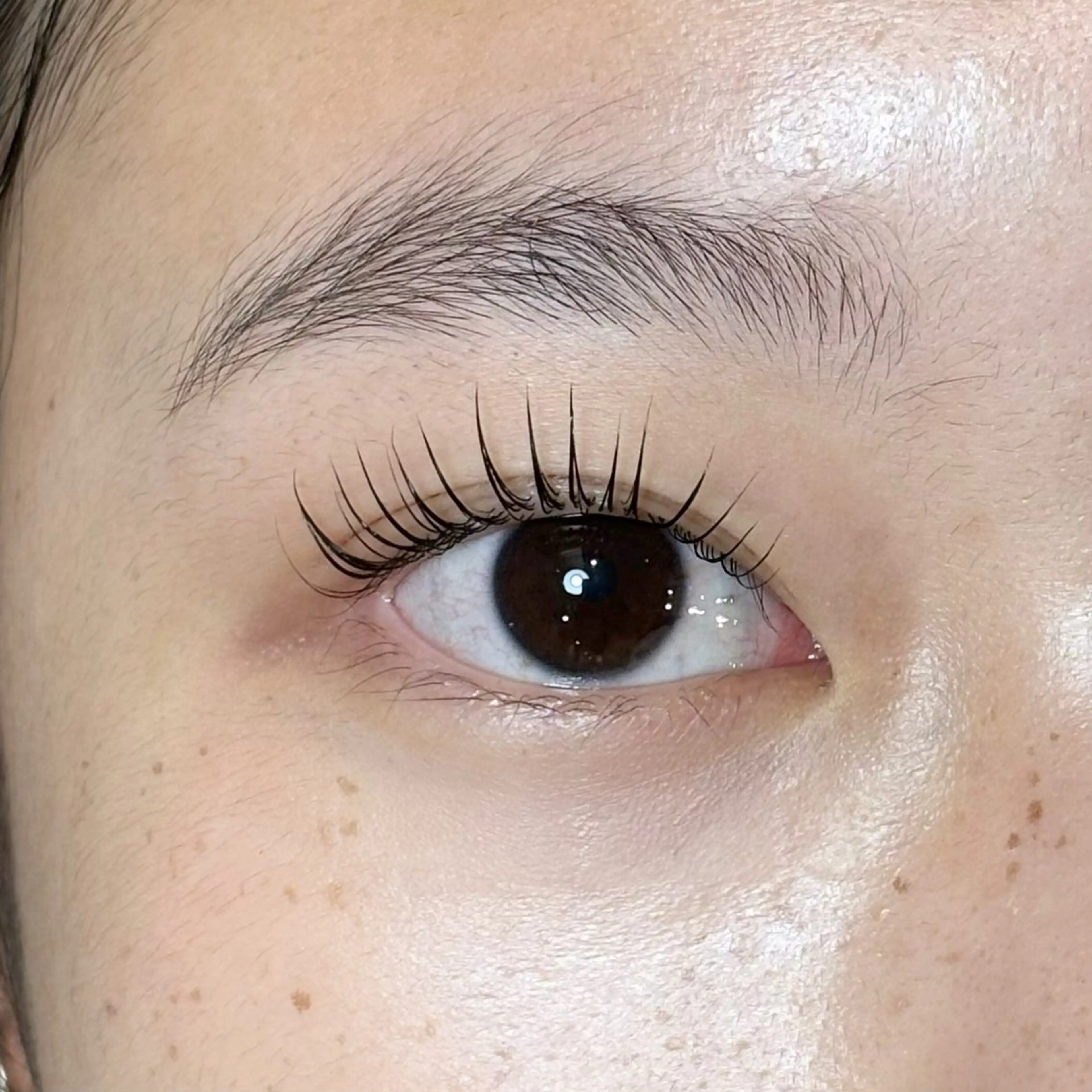 マツエク・マツパ WAVY藤沢店 🥥megumiのマツエク・マツパデザイン