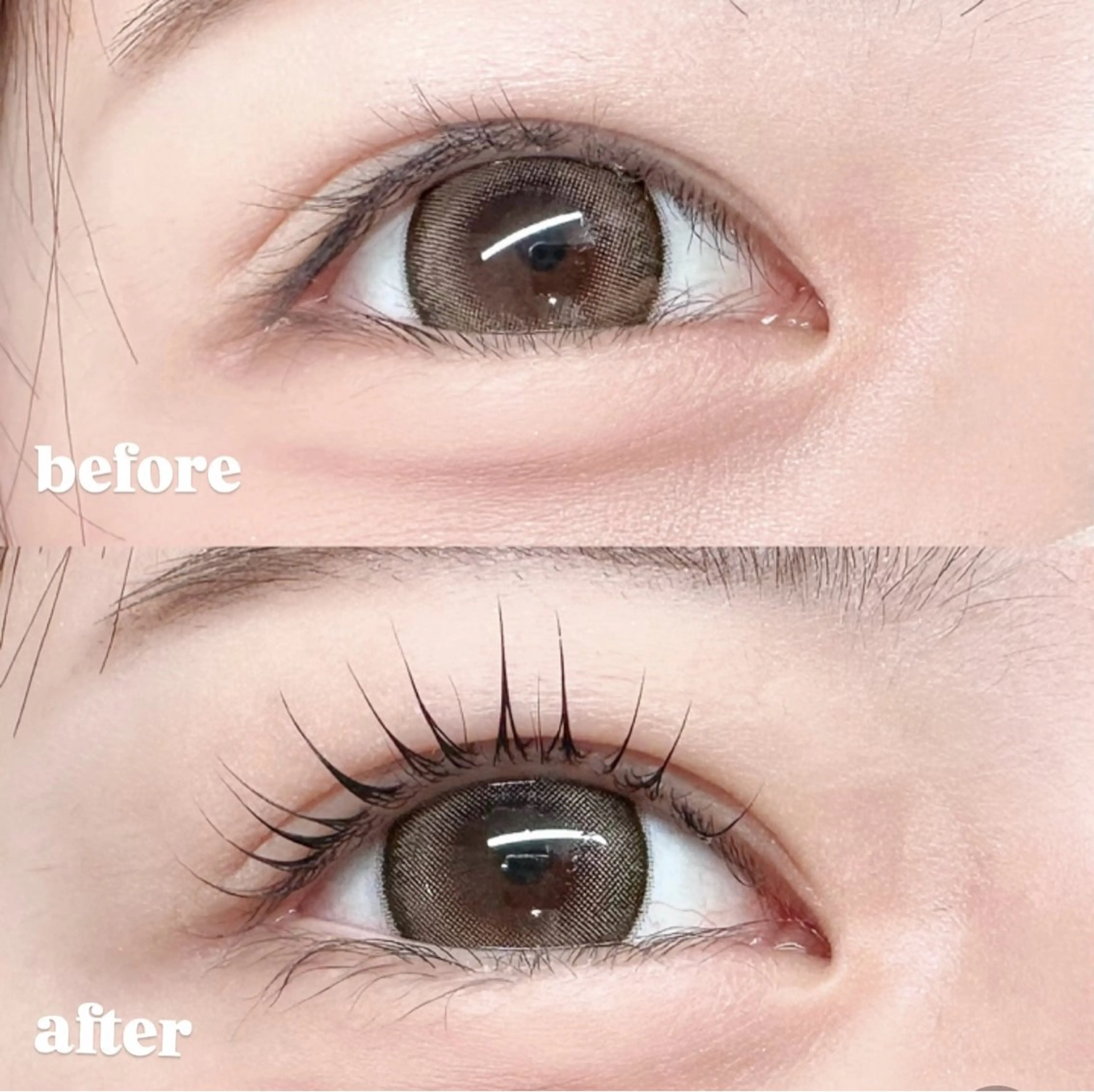 マツエク・マツパ パリジェンヌラッシュリフト 一重×まつ毛パーマ momoka 💕のマツエク・マツパデザイン