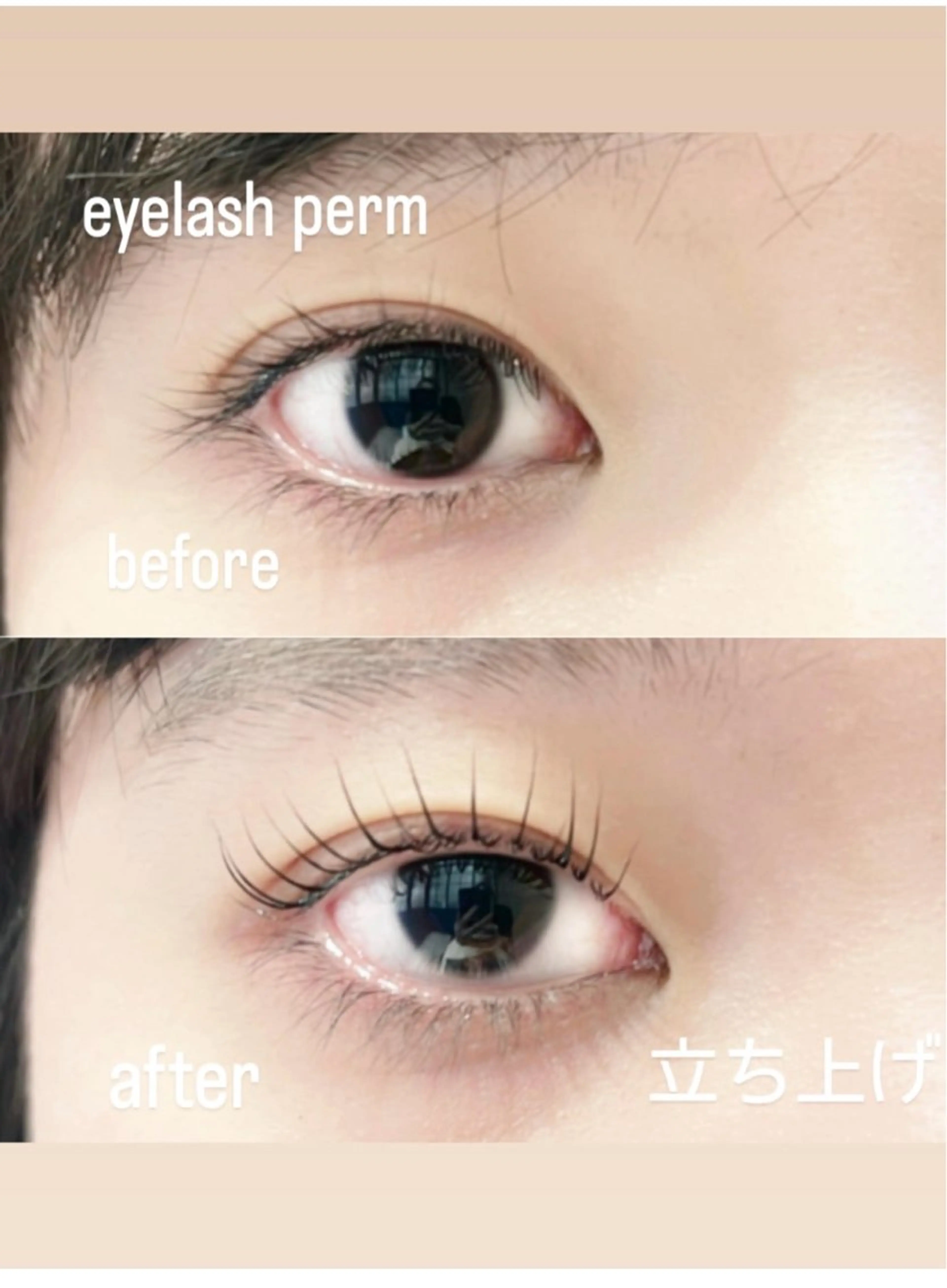 マツエク・マツパ 一重×まつ毛パーマ マツパ GranCieux 水戸/まつパ🧡黒柳の眉毛・アイブロウイメージ
