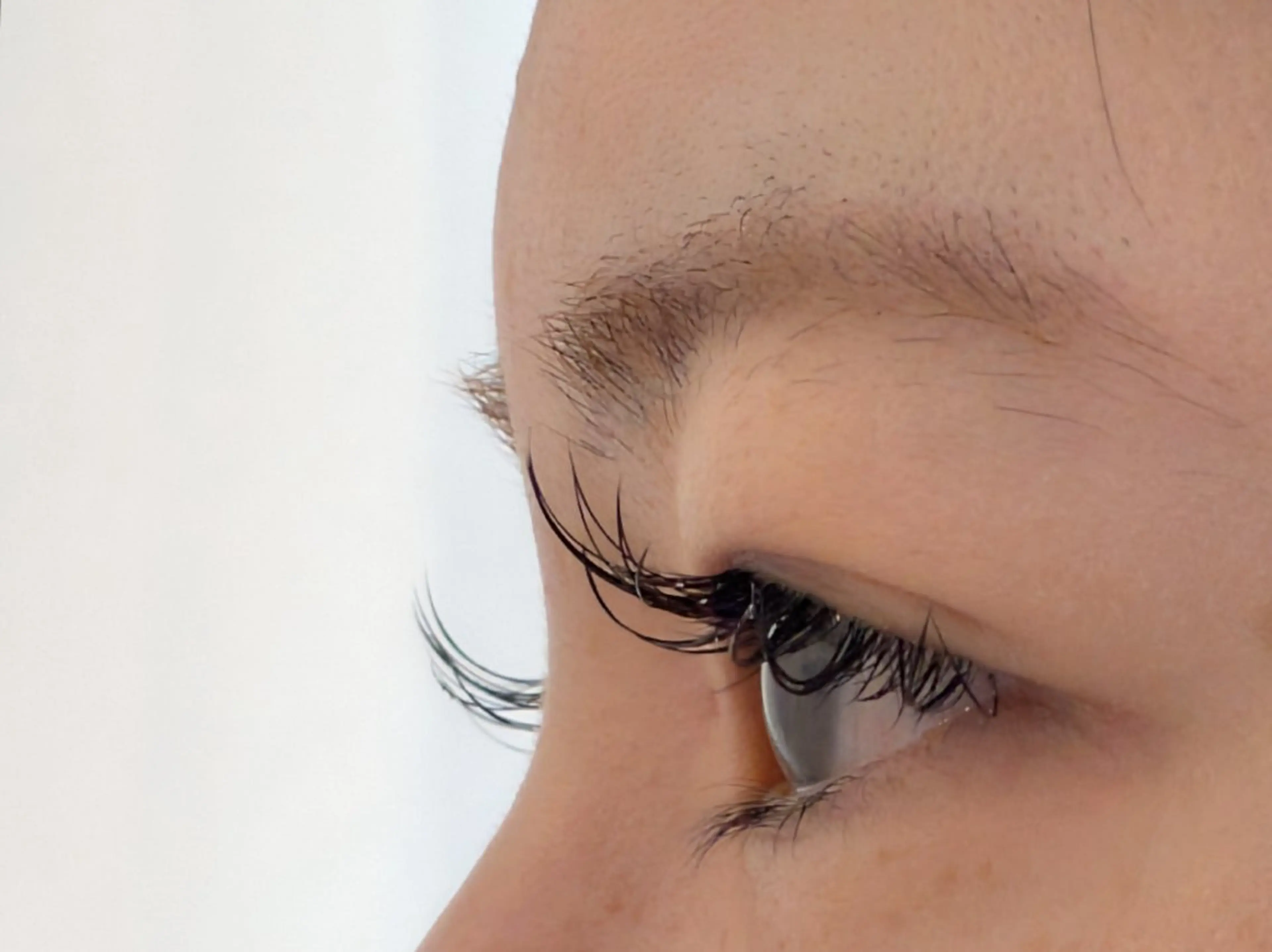 マツエク・マツパ Cカール Sun Brown Ryu-gaのマツエク・マツパデザイン