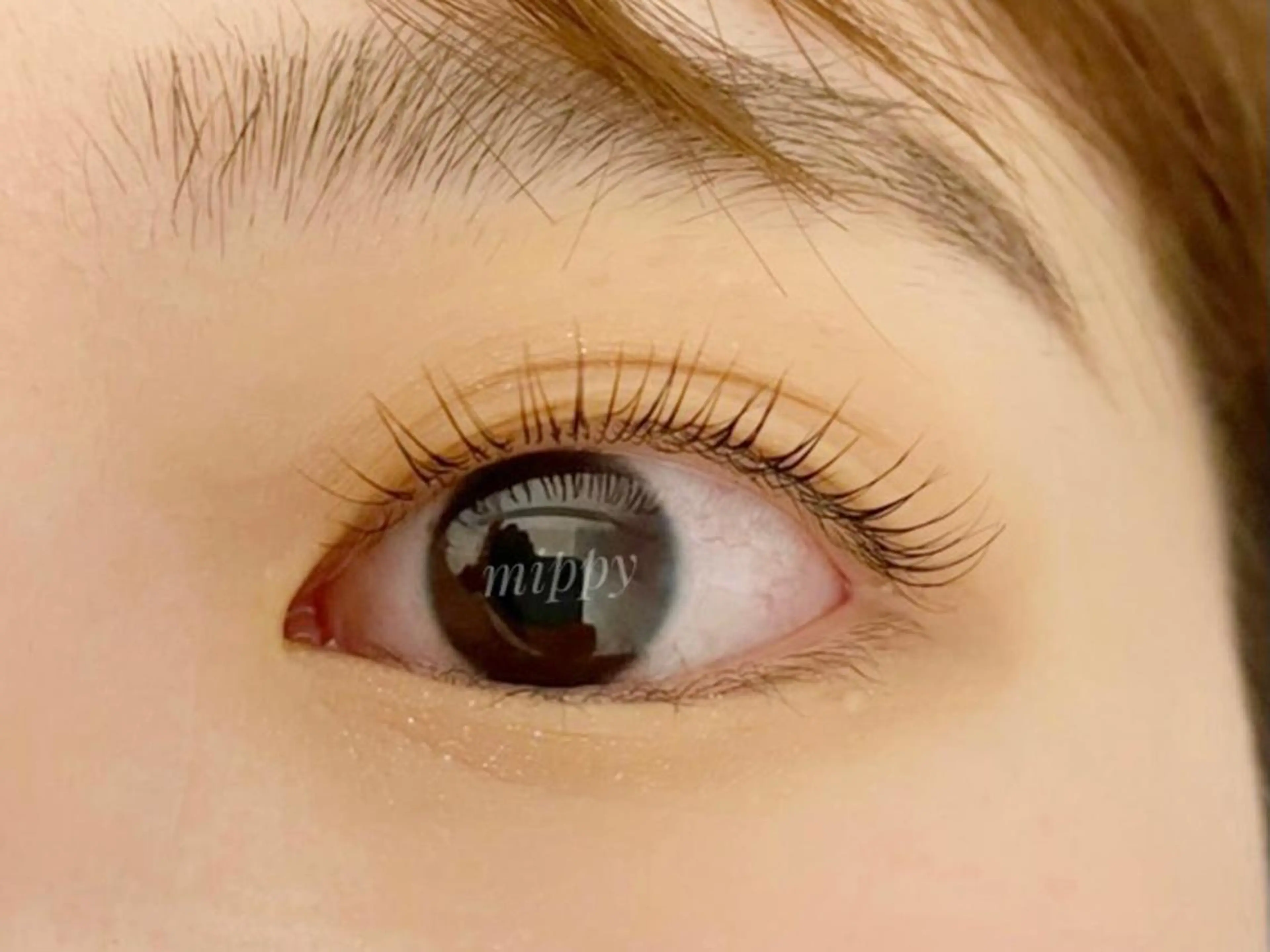 マツエク・マツパ ｍｉｐｐｙ 🪽のマツエク・マツパデザイン