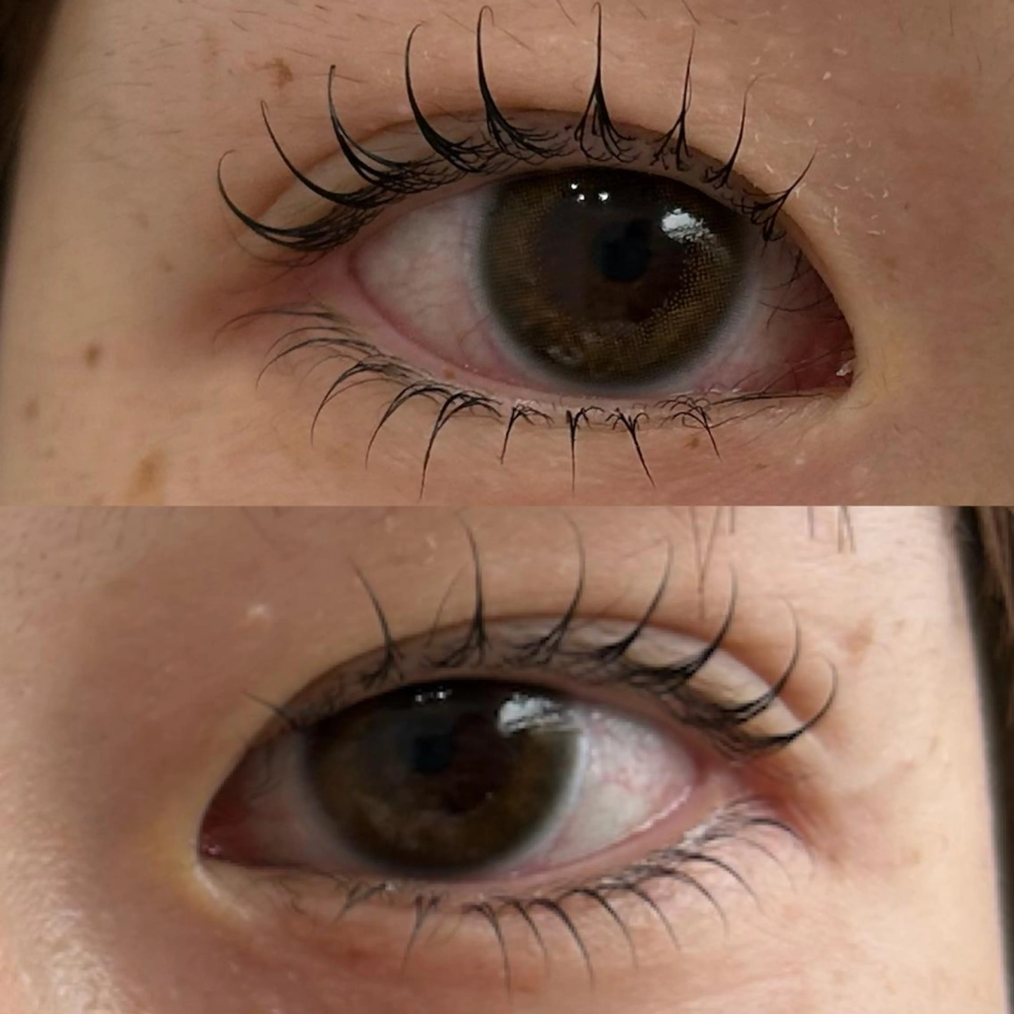 マツエク・マツパ Eye🪽‪ coconaのマツエク・マツパデザイン