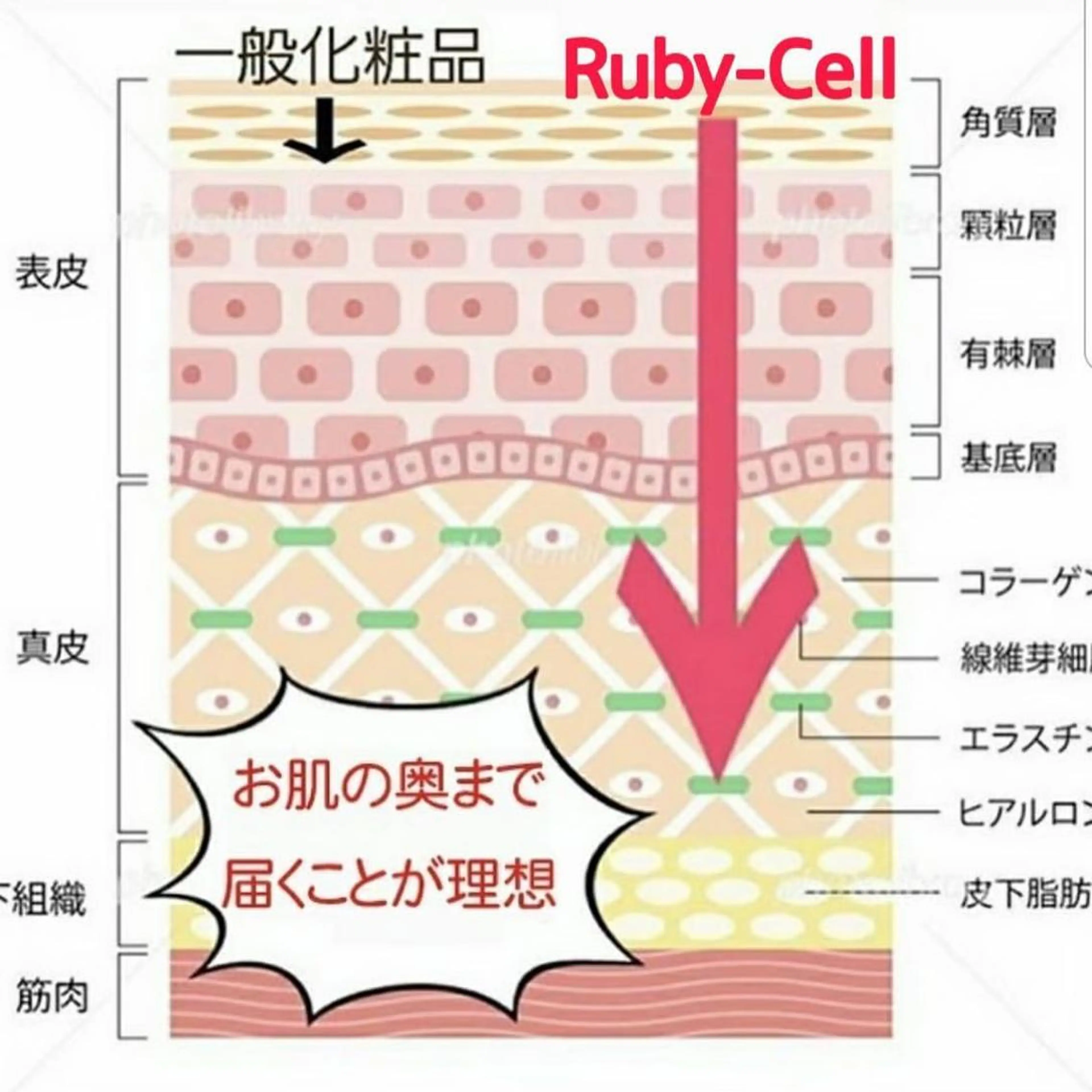 産毛専門店 Bittoのエステ・リラクイメージ