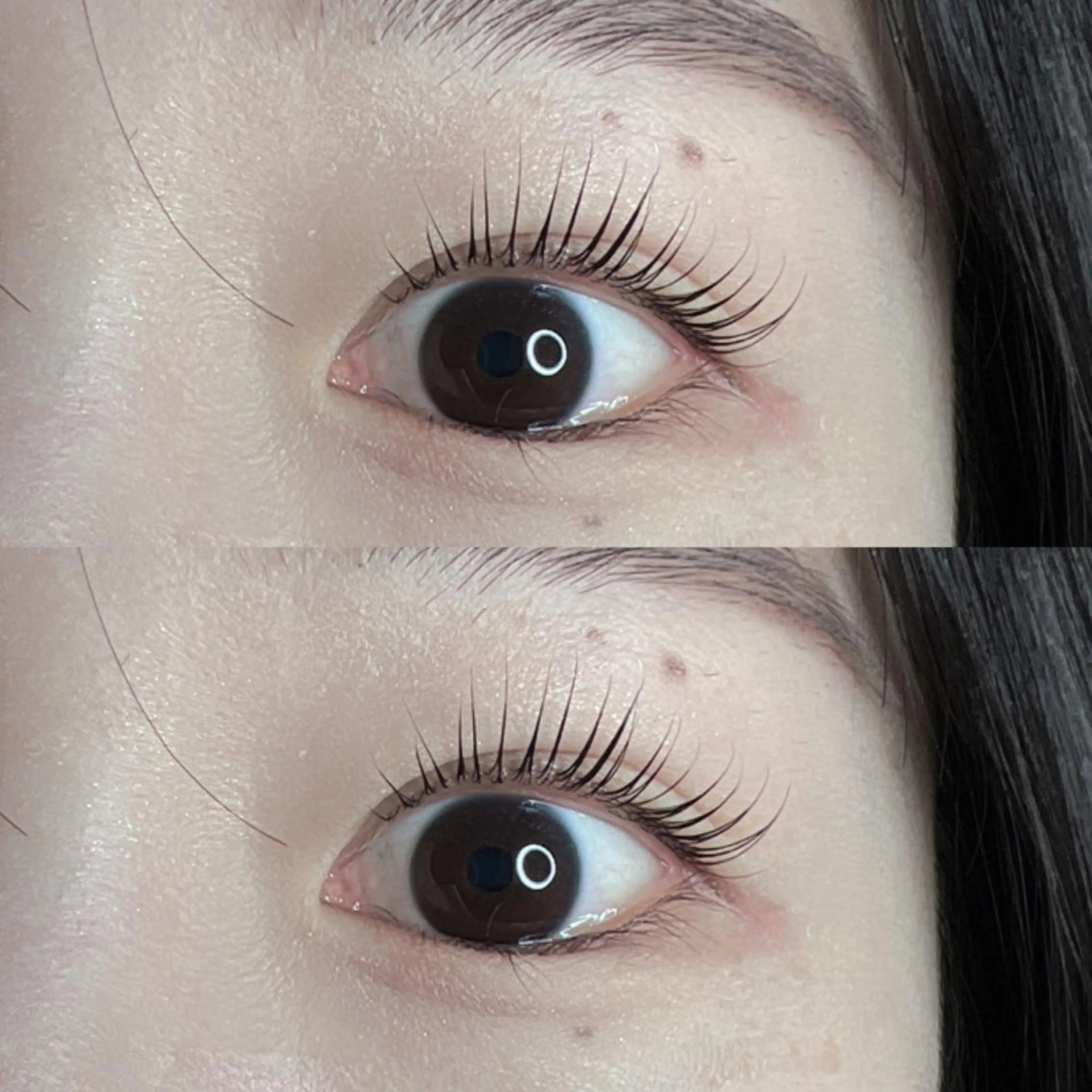 マツエク・マツパ マツパ Bunny eyes NEWOTANI博多のマツエク・マツパデザイン