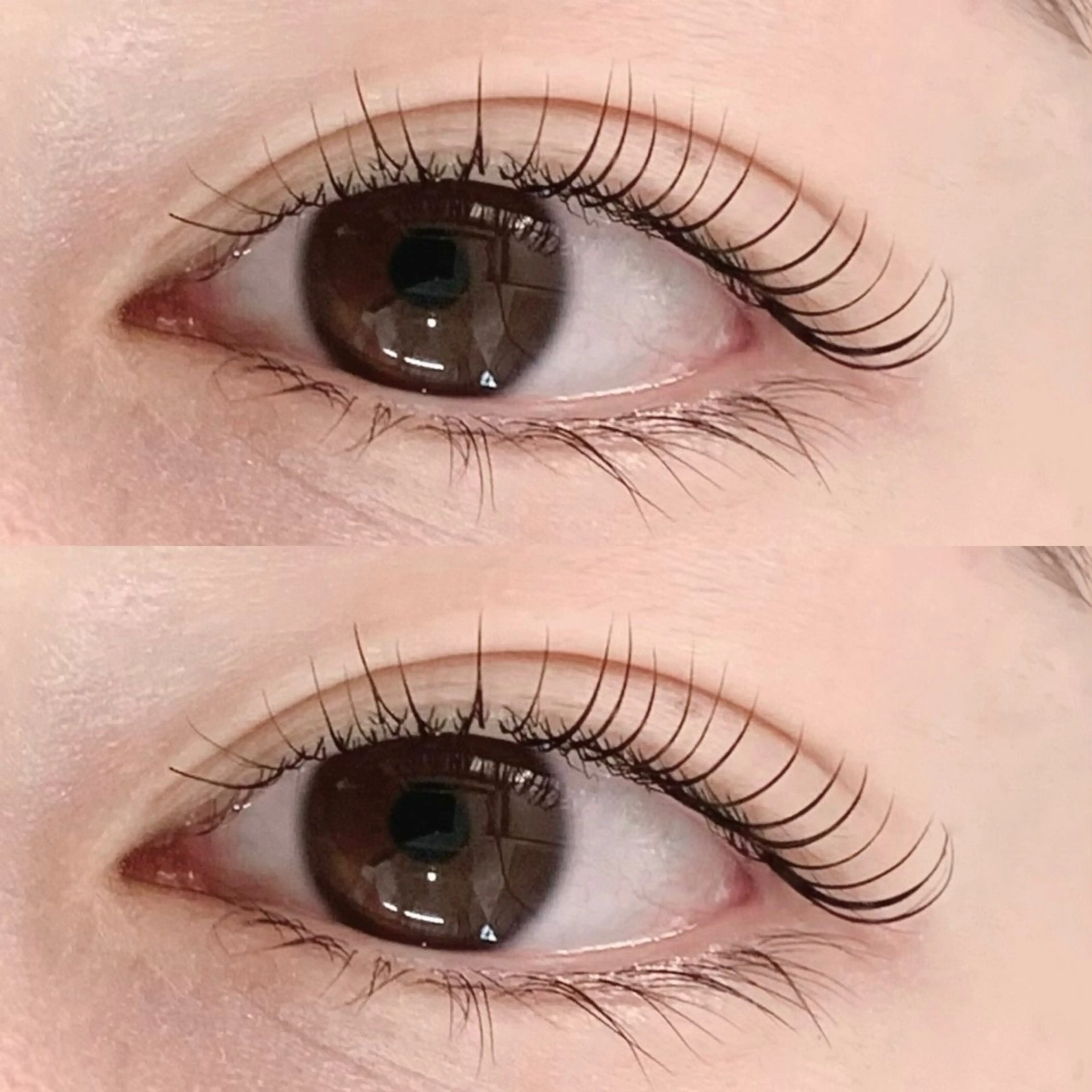 マツエク・マツパ M🐰 上本町/谷九のマツエク・マツパデザイン