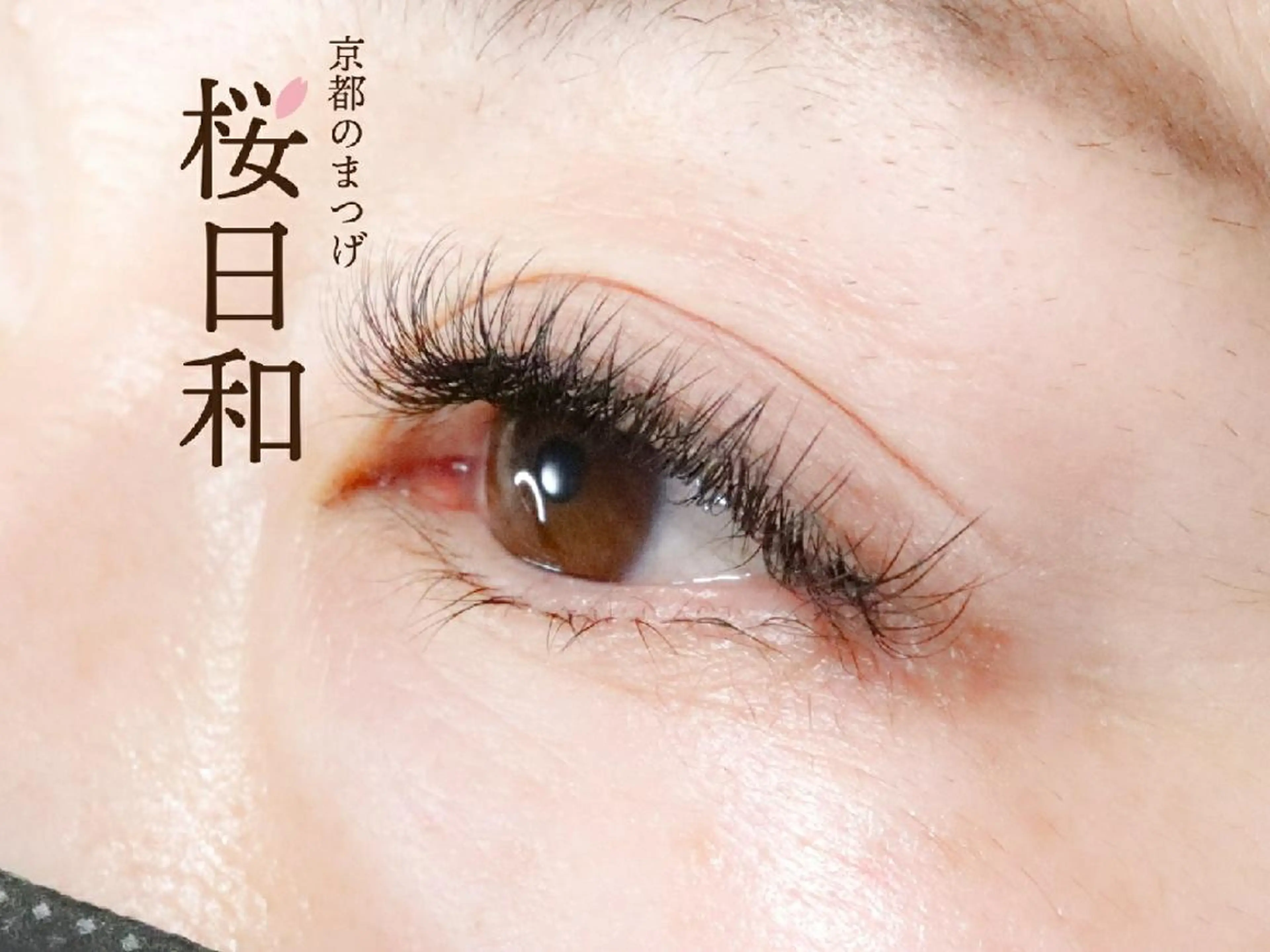 マツエク・マツパ フラットラッシュ 目尻長め まつげパーマ 一重×まつ毛パーマ ボリュームラッシュ 京都のまつげ桜日和 小島美桜のマツエク・マツパデザイン