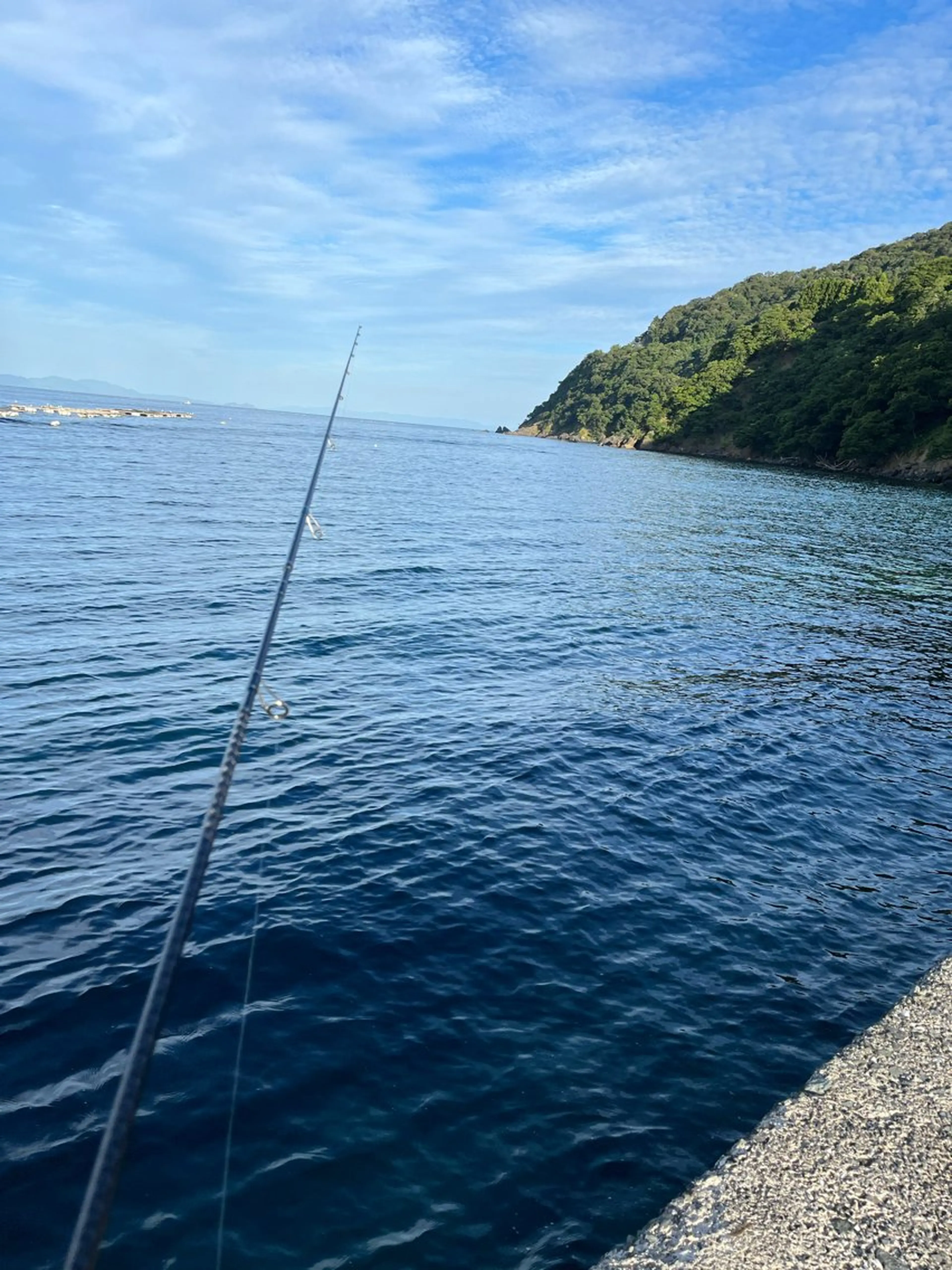 紙屋 隼人のヘアスタイル