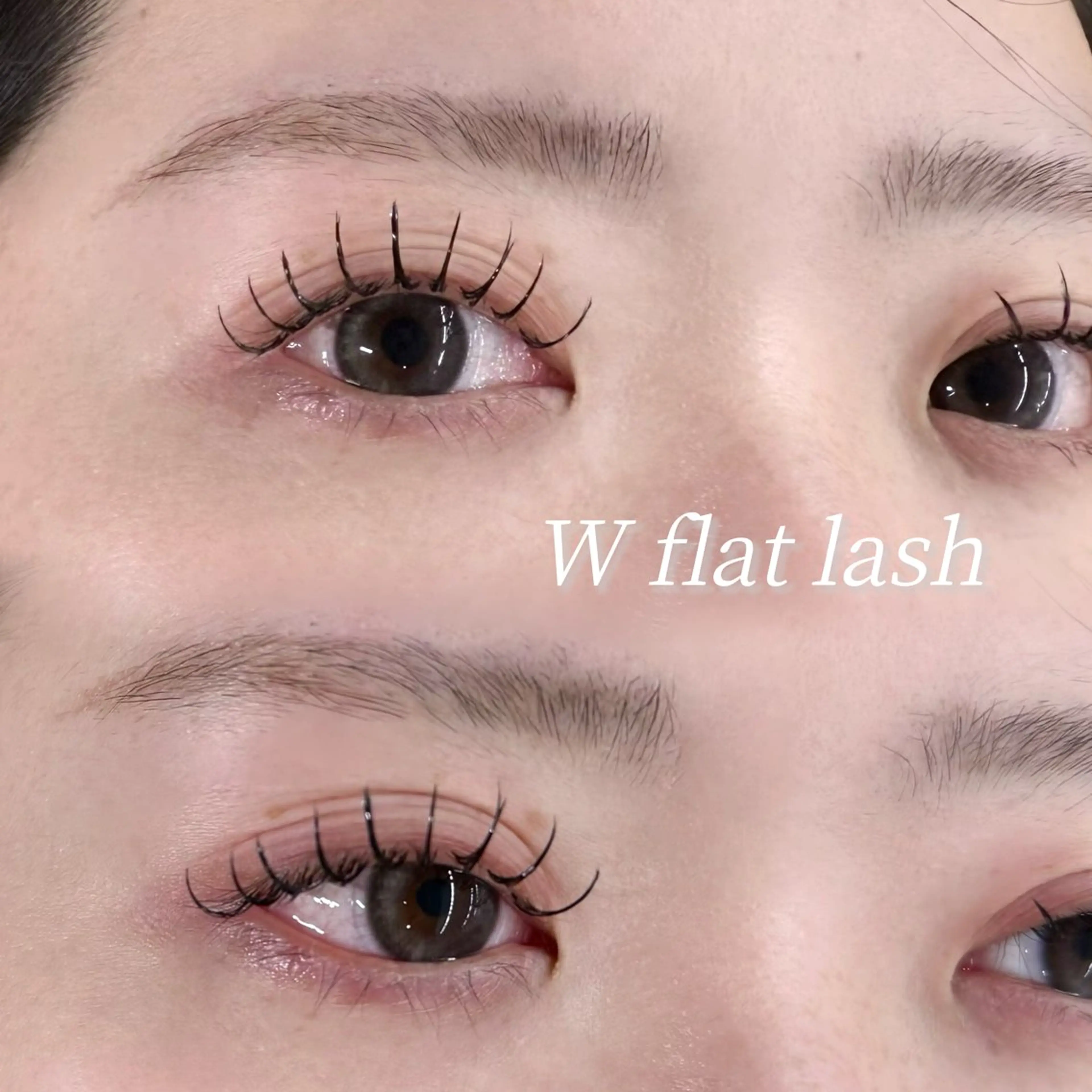 〈本日限定〉 束感パリエク80本 / オフなしの写真