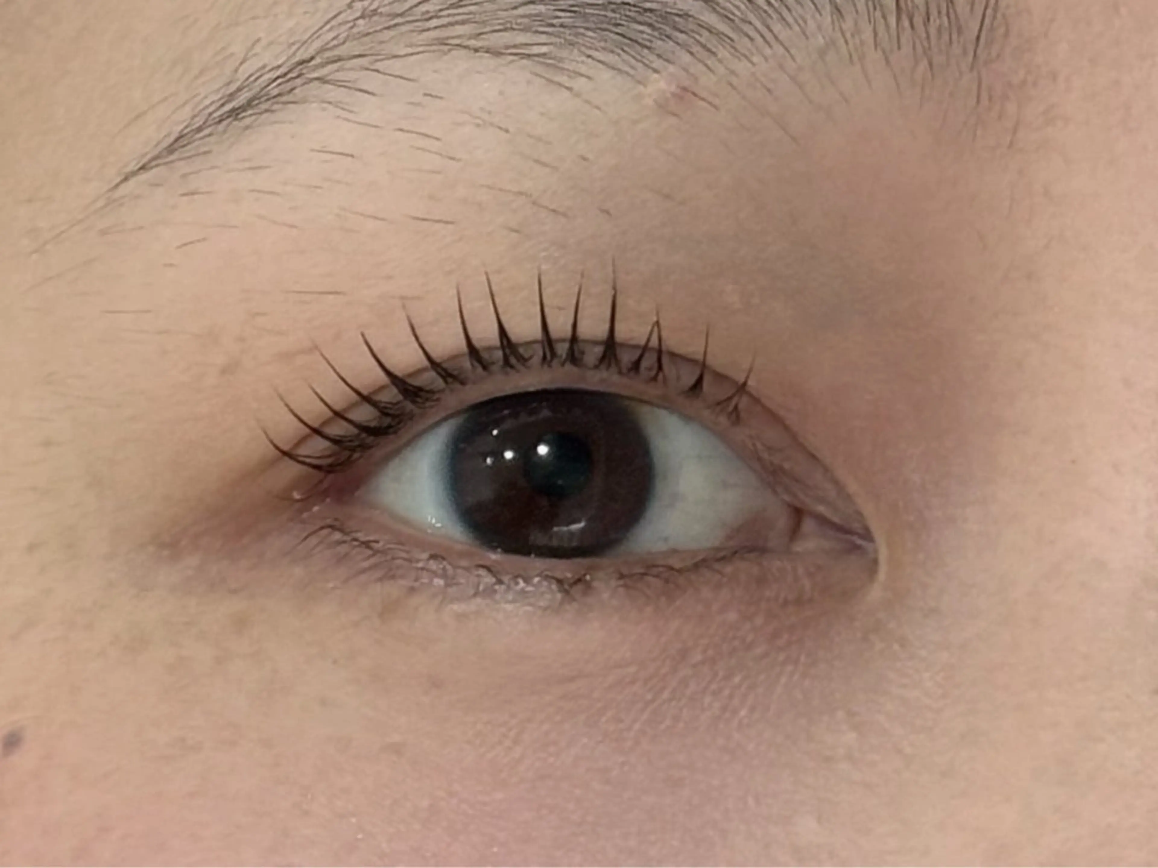 マツエク・マツパ サクラブロウ 心斎橋のマツエク・マツパデザイン