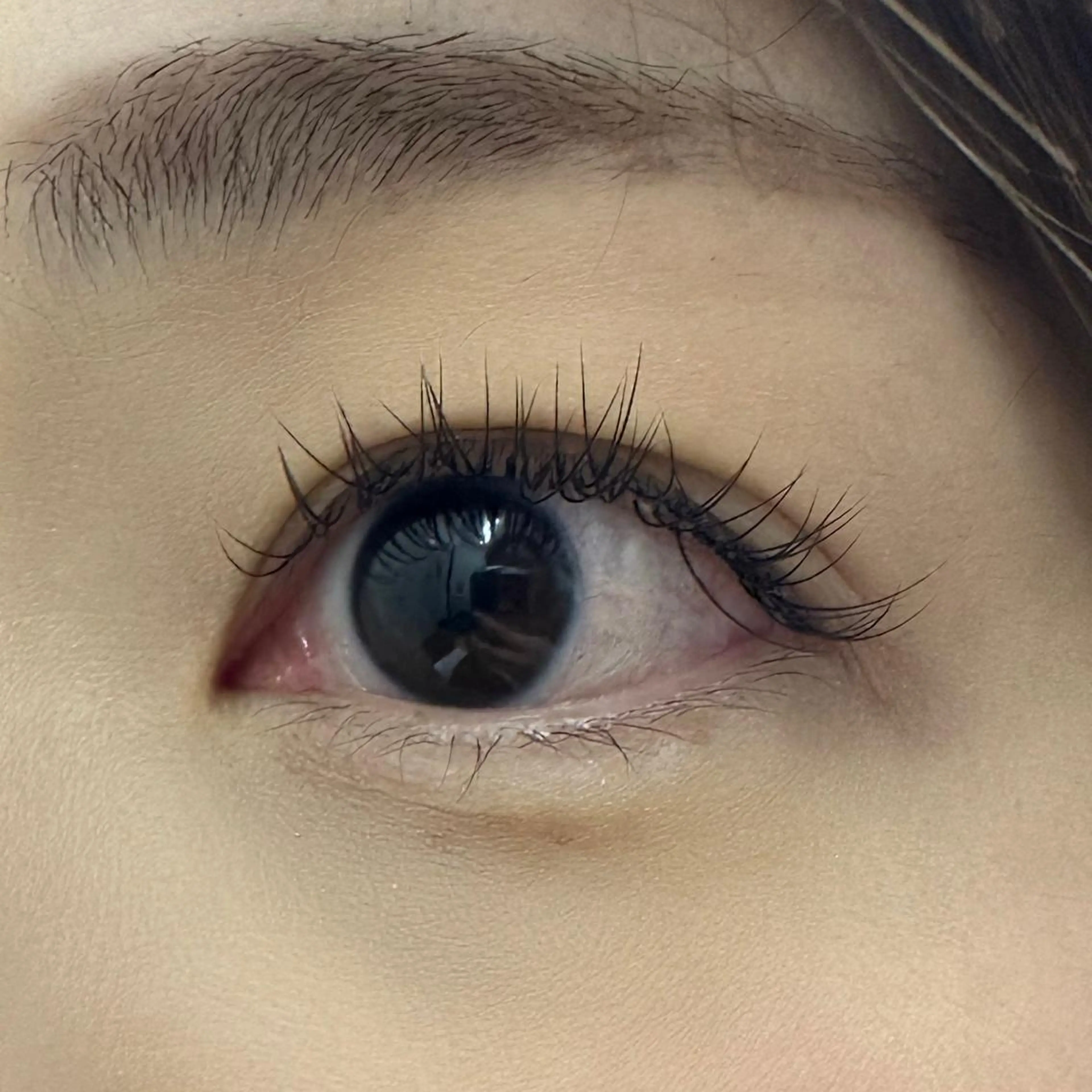 マツエク・マツパ Cカール Miyu🦄ash メンズカット/まつげのヘアスタイル