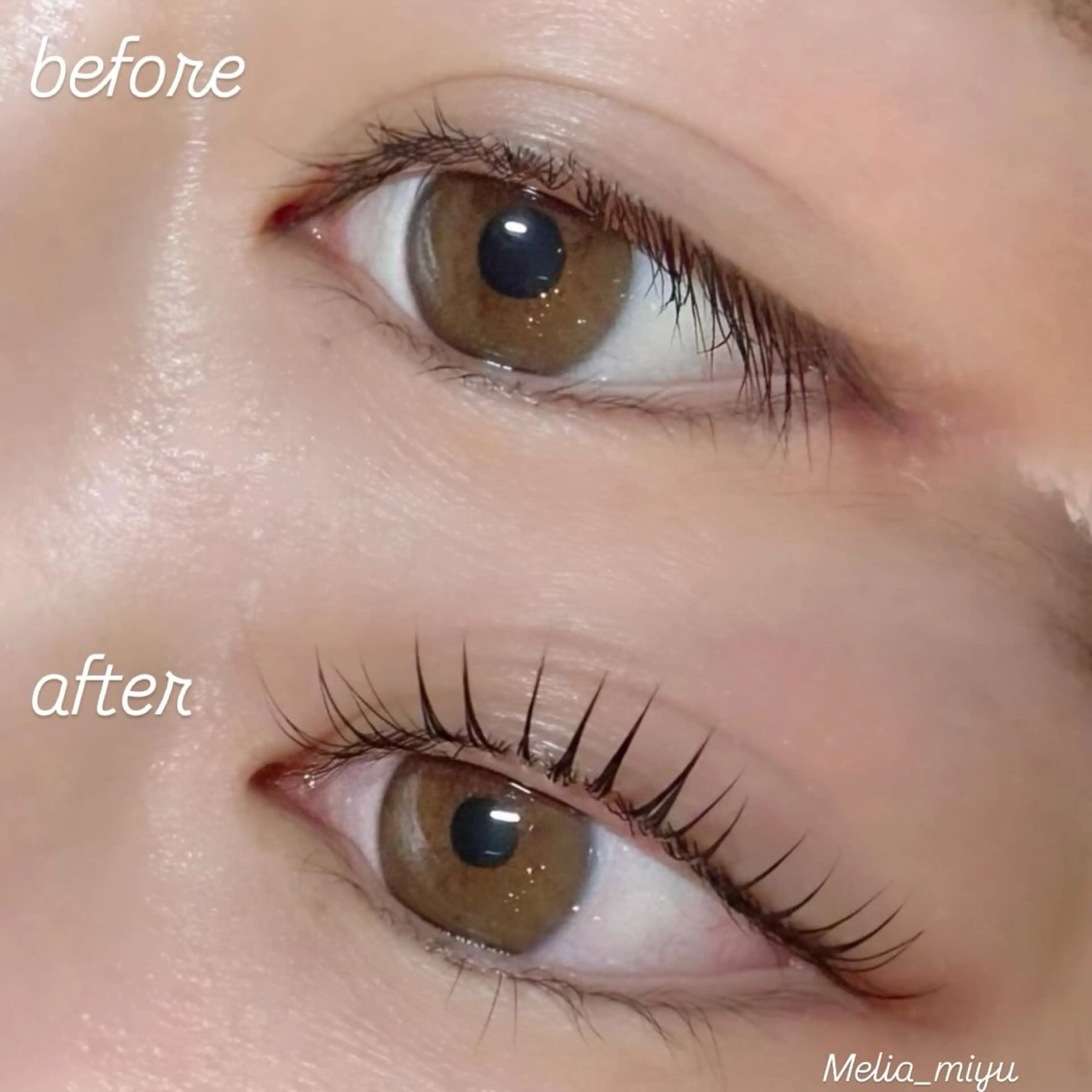 マツエク・マツパ メリア🦄大曽根/ まつパ/アイブロウのマツエク・マツパデザイン