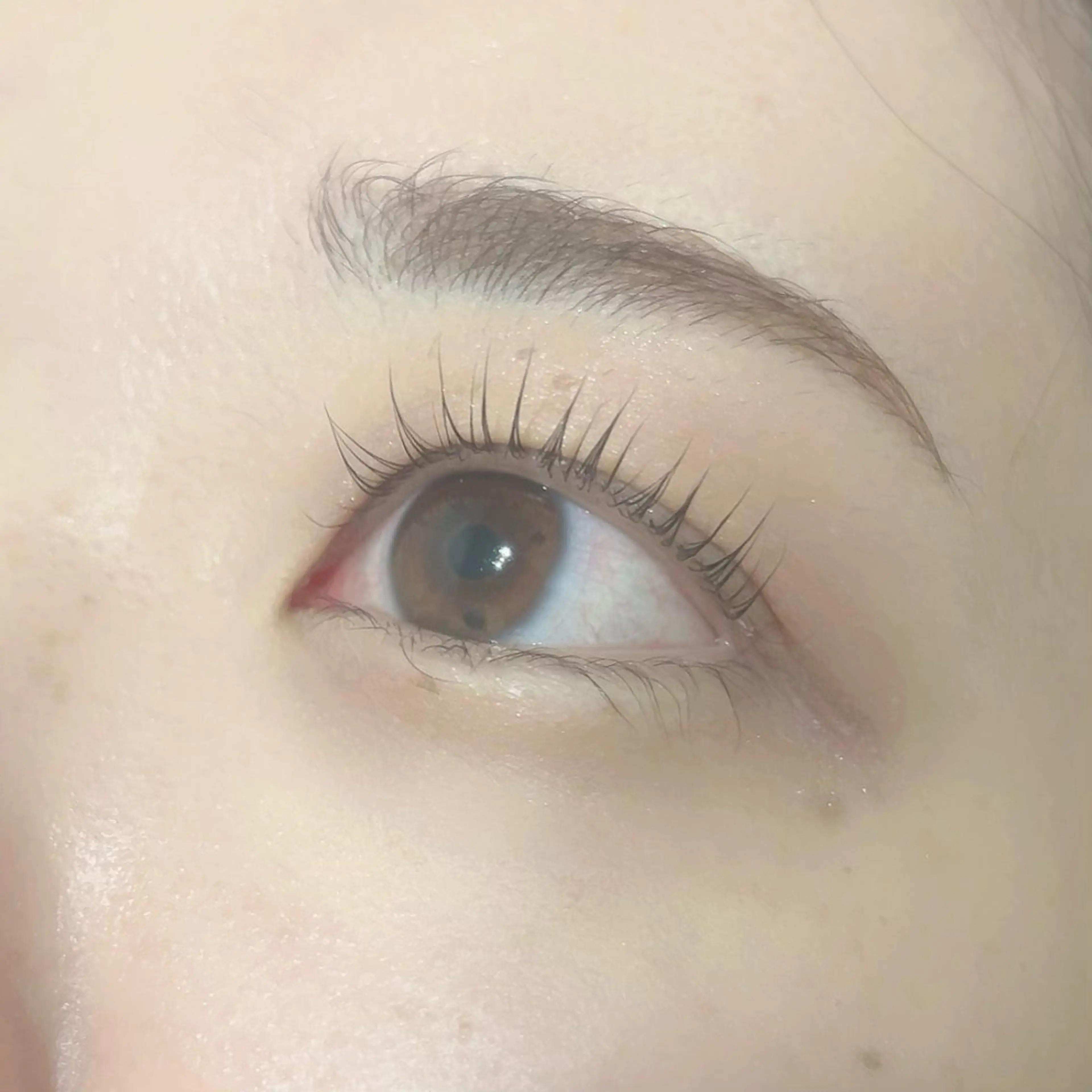 マツエク・マツパ パリジェンヌラッシュリフト EYELA万代店 池田のマツエク・マツパデザイン