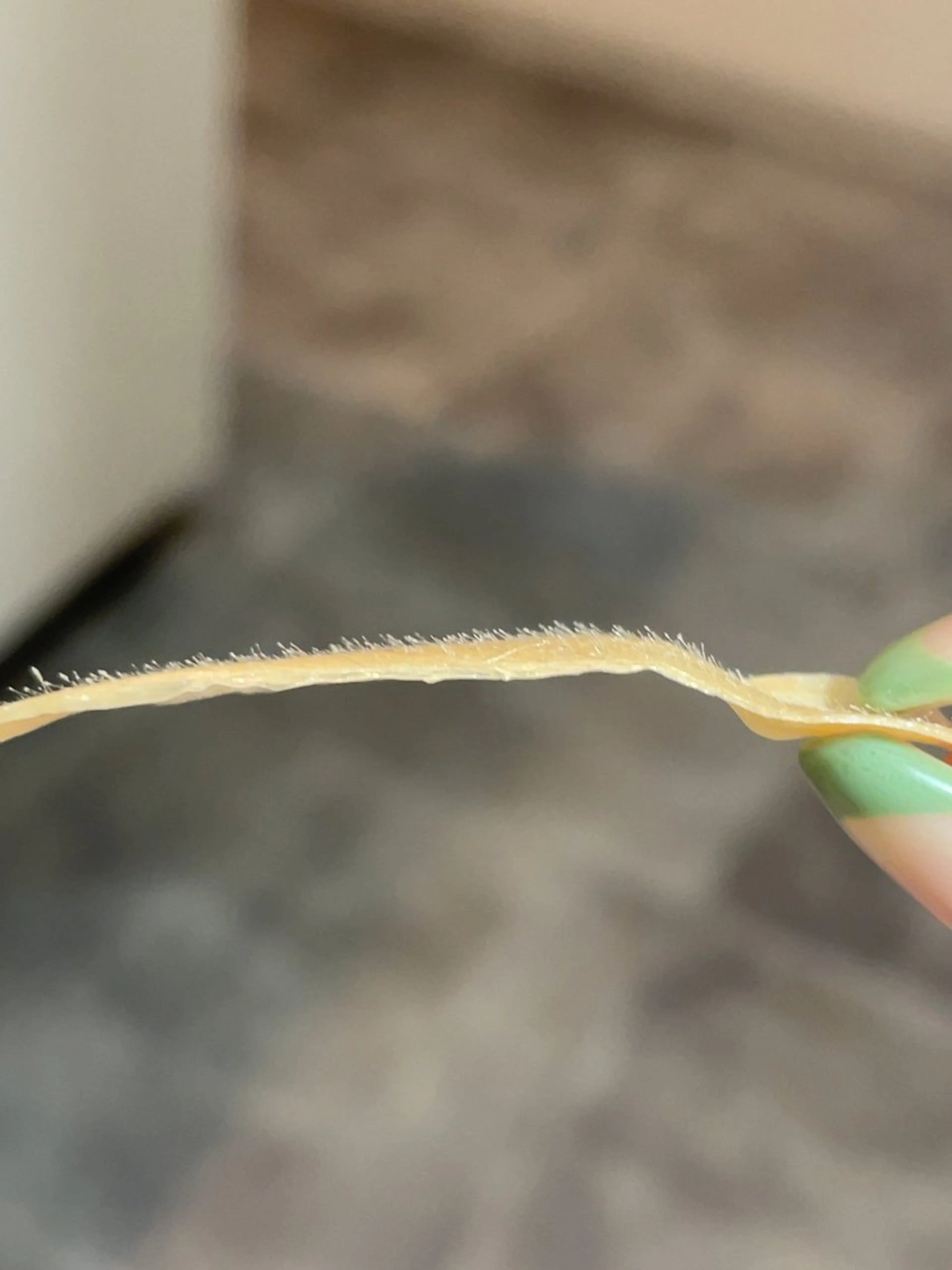 L'aube eyelashのマツエク・マツパデザイン