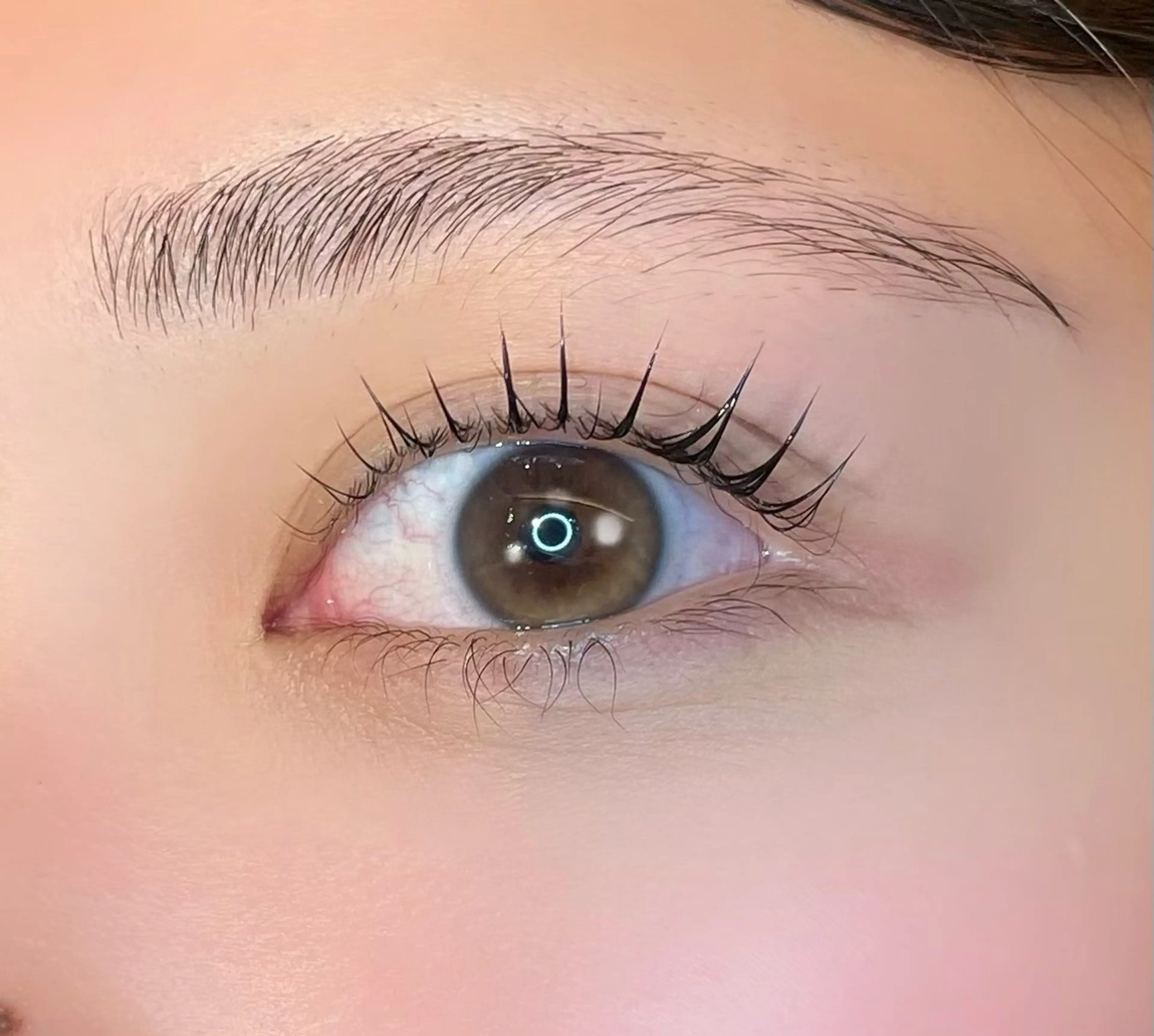 マツエク・マツパ マツパ 似合わせまつパ× 透け感カラー/ゆりのヘアスタイル