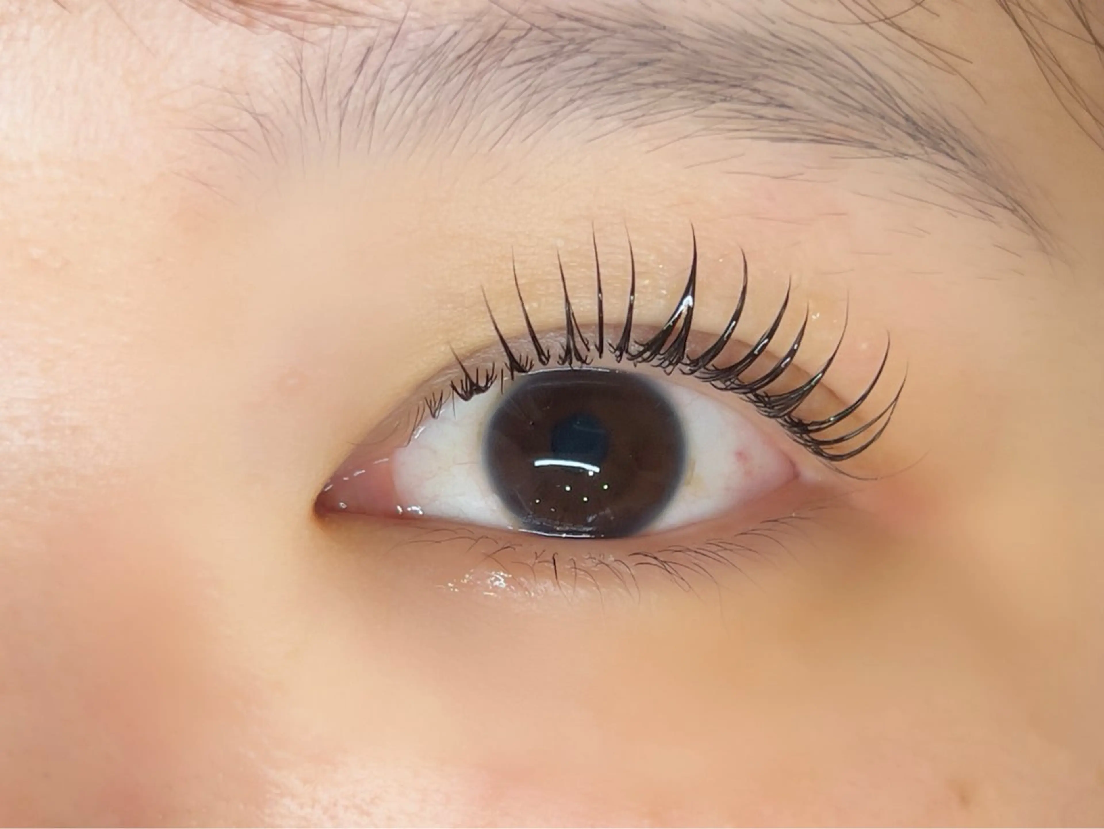 マツエク・マツパ まつげパーマ 一重×まつ毛パーマ 土居 夏美/束感マツエクのマツエク・マツパデザイン