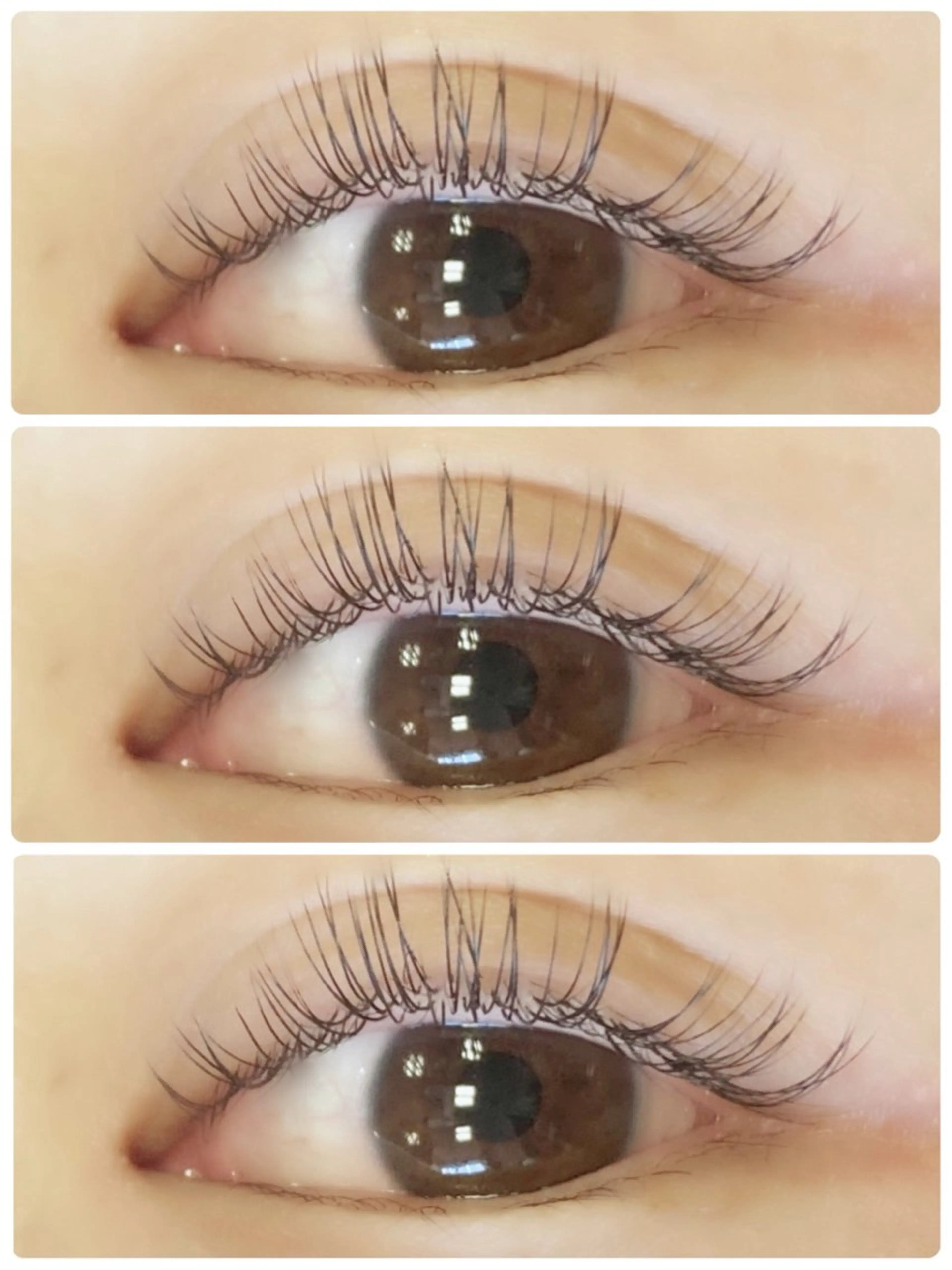 【再来】パリジェンヌ×エクステ100本✨パリエク👗の写真