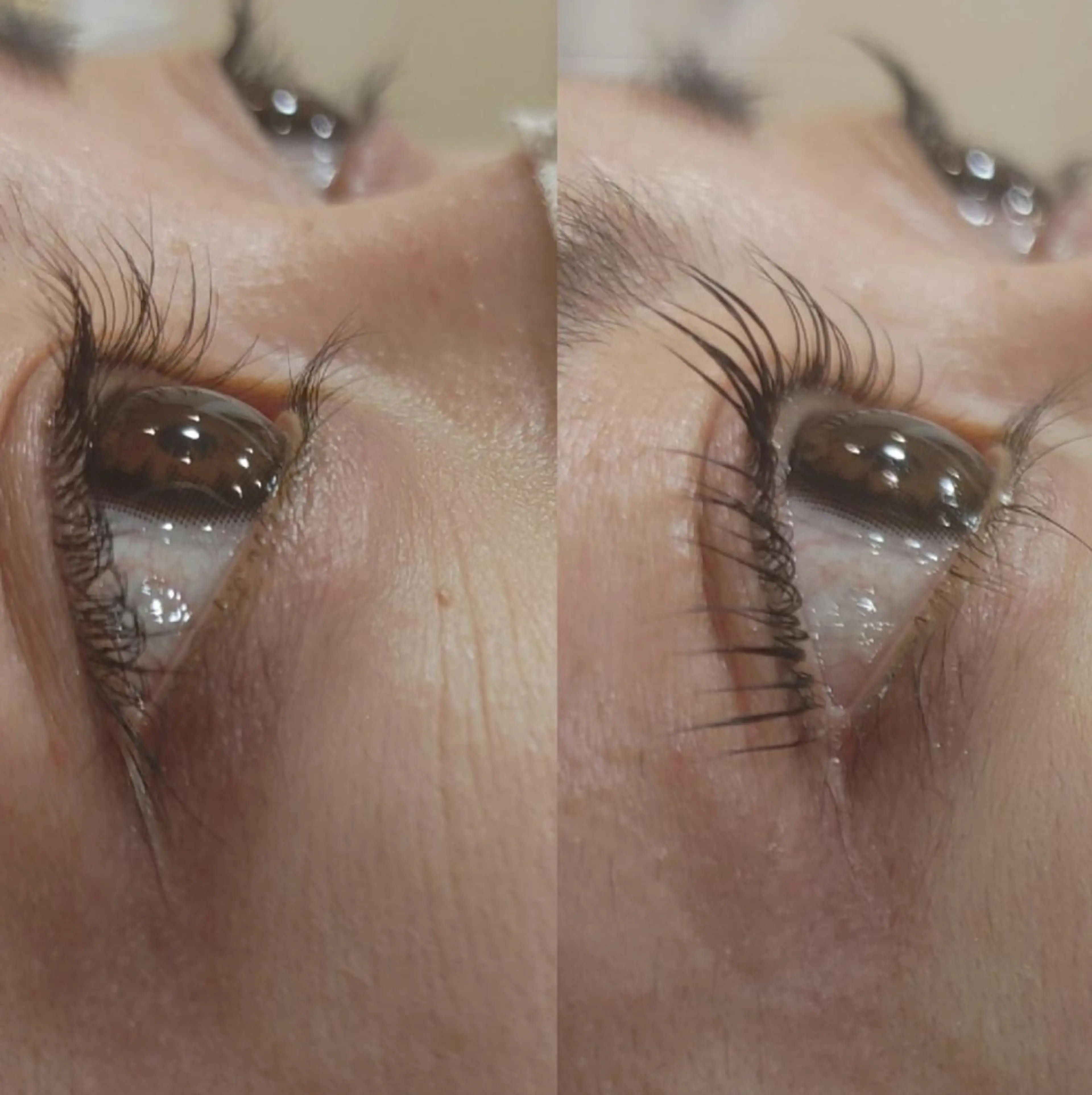 マツエク・マツパ パリジェンヌラッシュリフト ブランシェ勝川南口店 石原 あゆみのマツエク・マツパデザイン