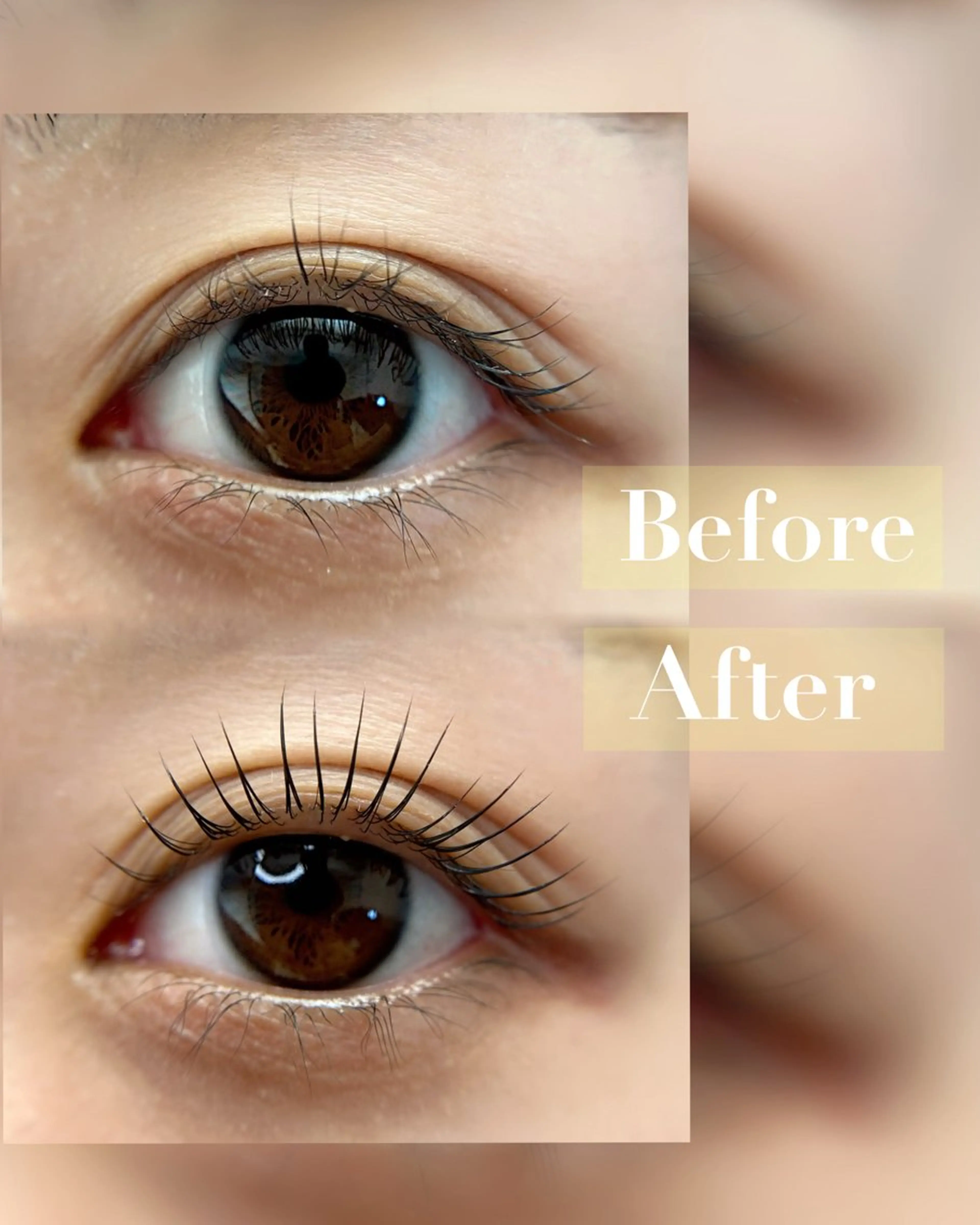 マツエク・マツパ Lash one 大宮東口店のマツエク・マツパデザイン