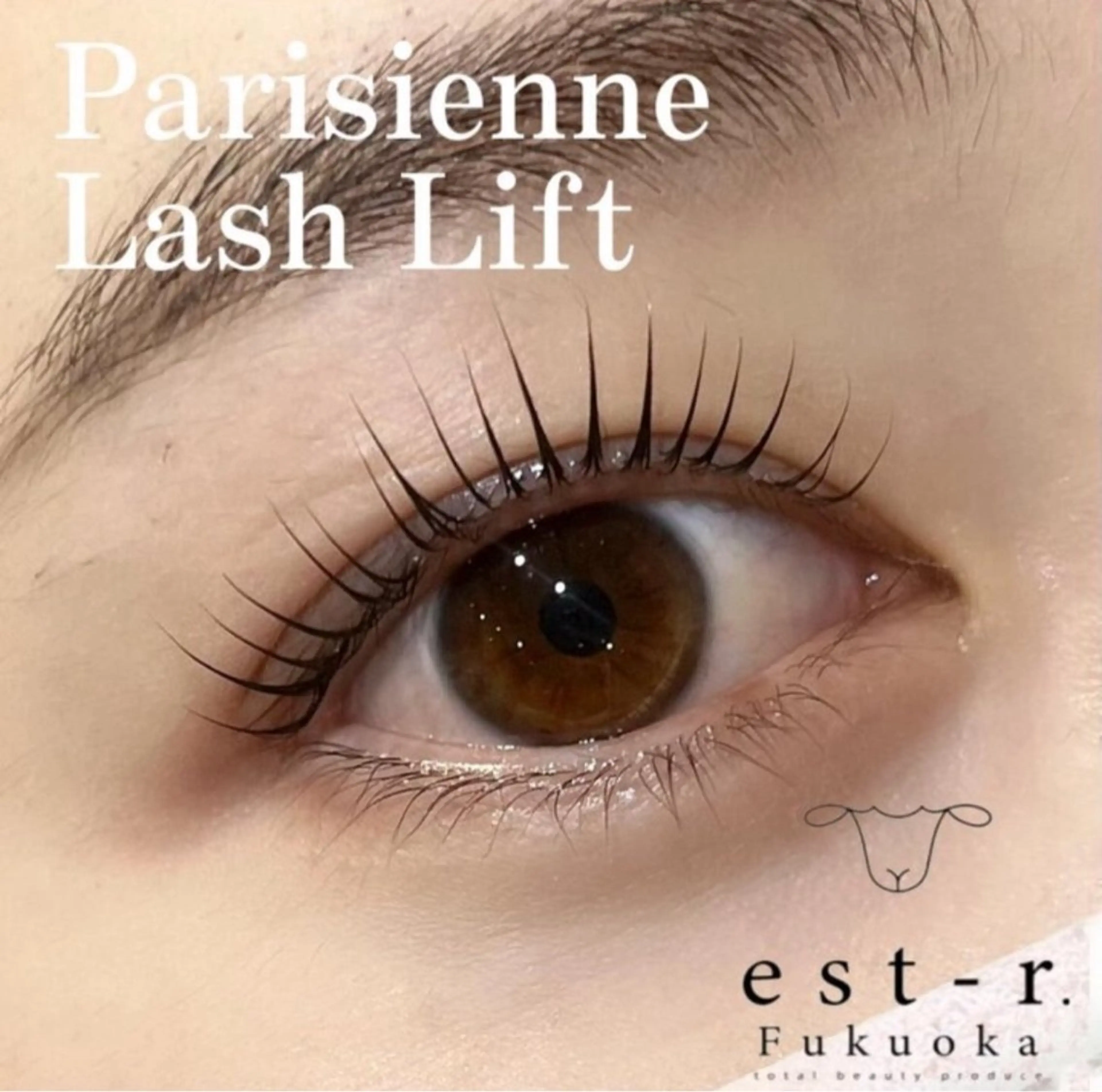 マツエク・マツパ マツパ Riho/博多/ まつげパーマ/LEDのマツエク・マツパデザイン