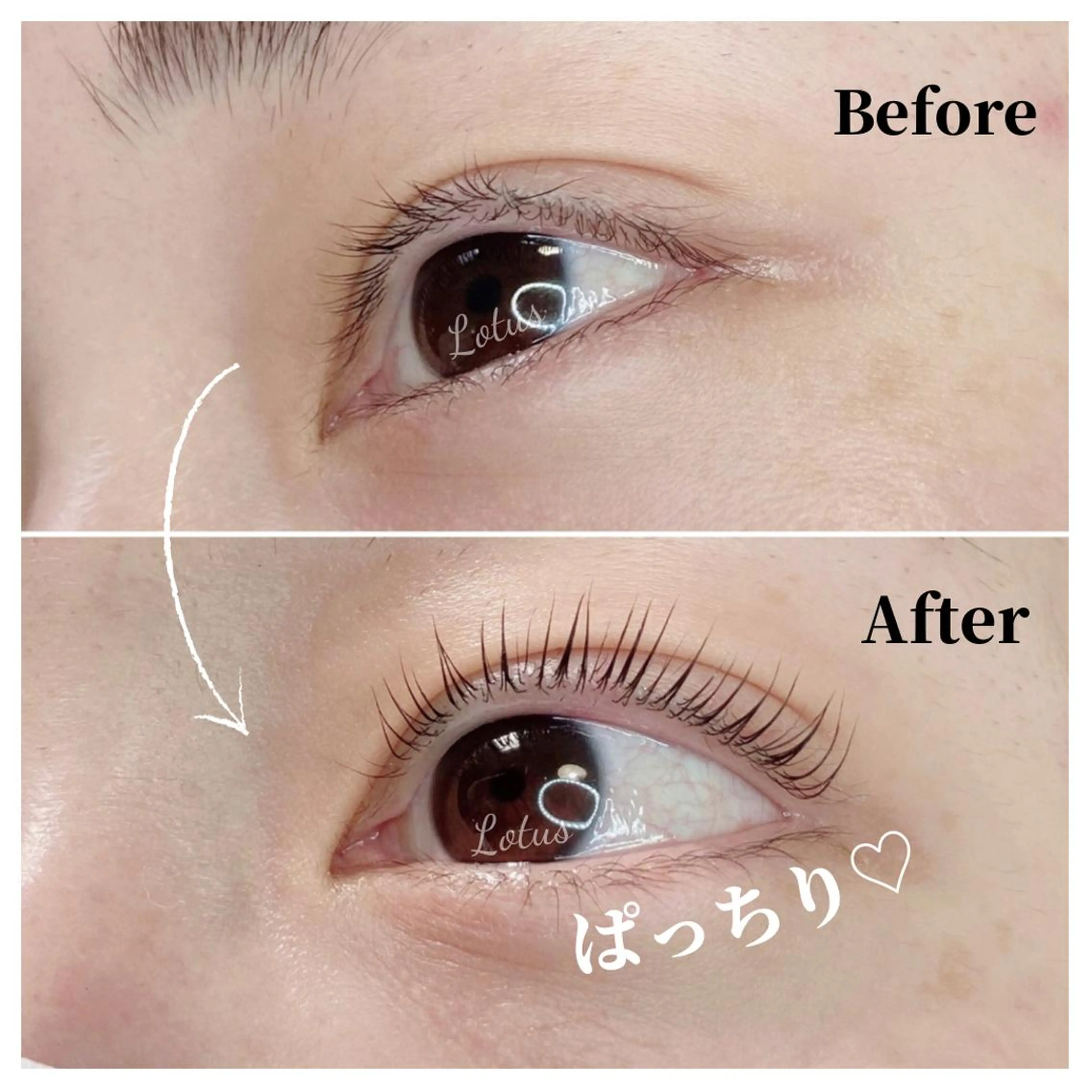 マツエク・マツパ マツパ Lotus所属・Lotus ロータスのマツエク・マツパデザイン