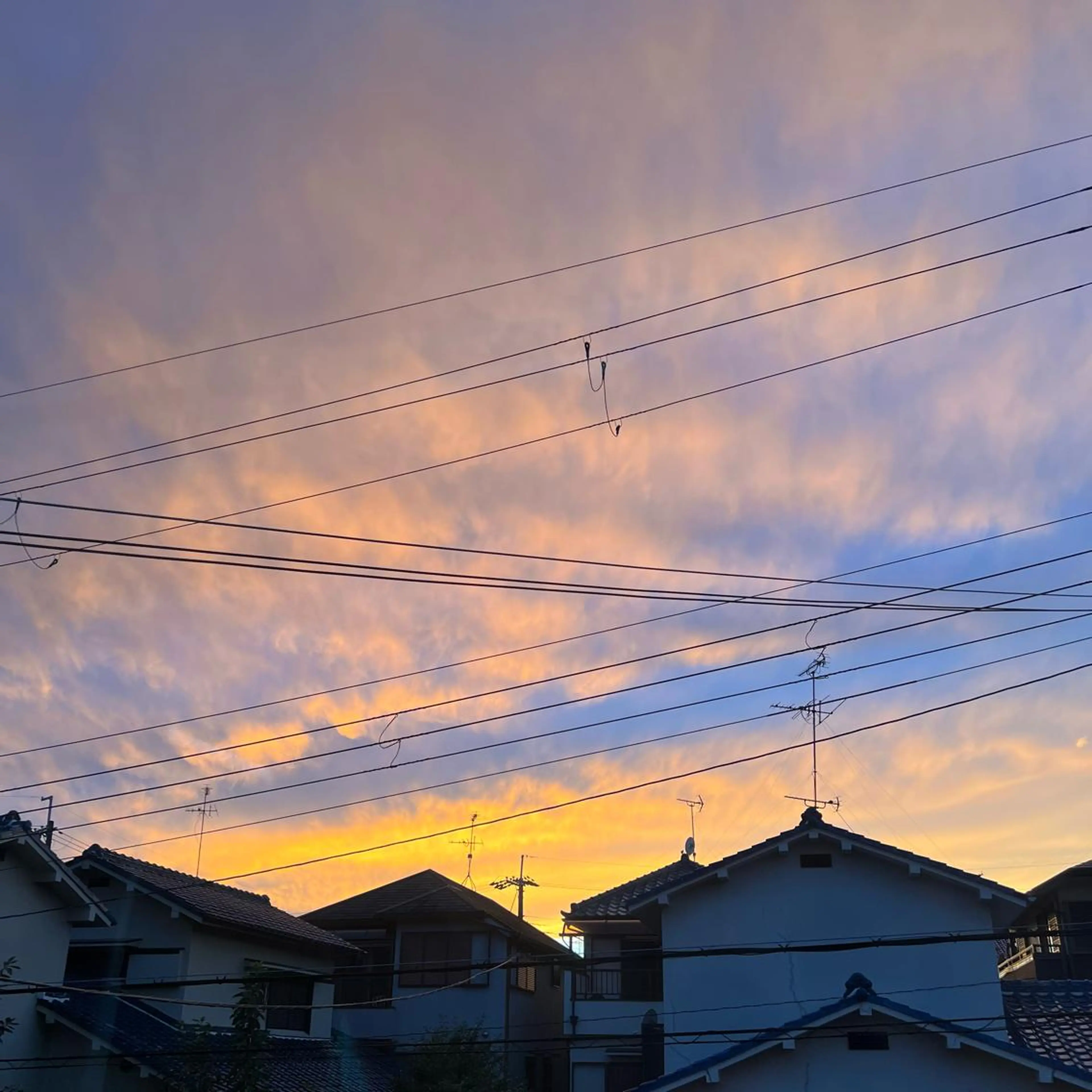 TIDEHAIR SHIHOのヘアスタイル