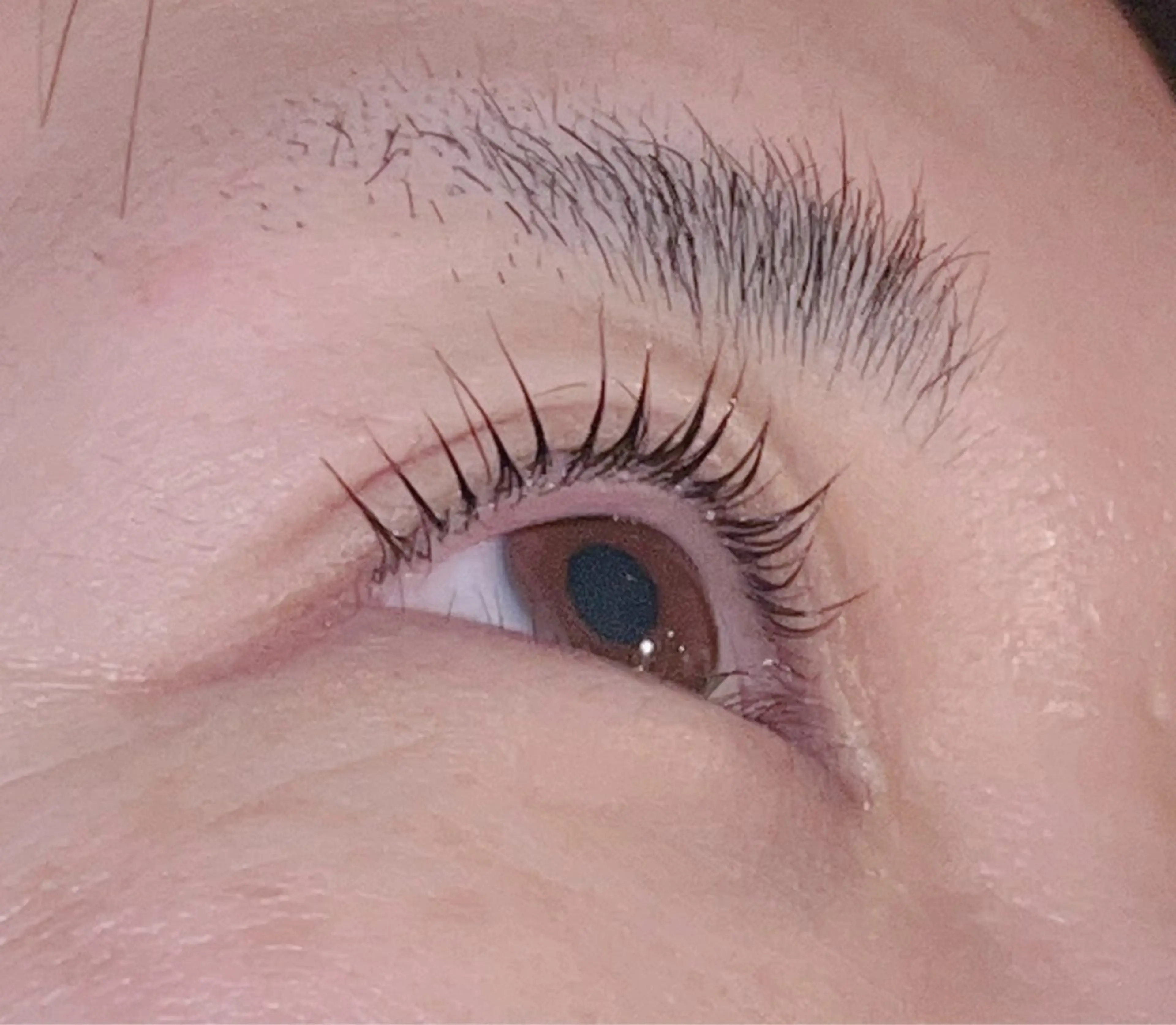 マツエク・マツパ 🌸髙島🌸 アーバンシー川口店のマツエク・マツパデザイン