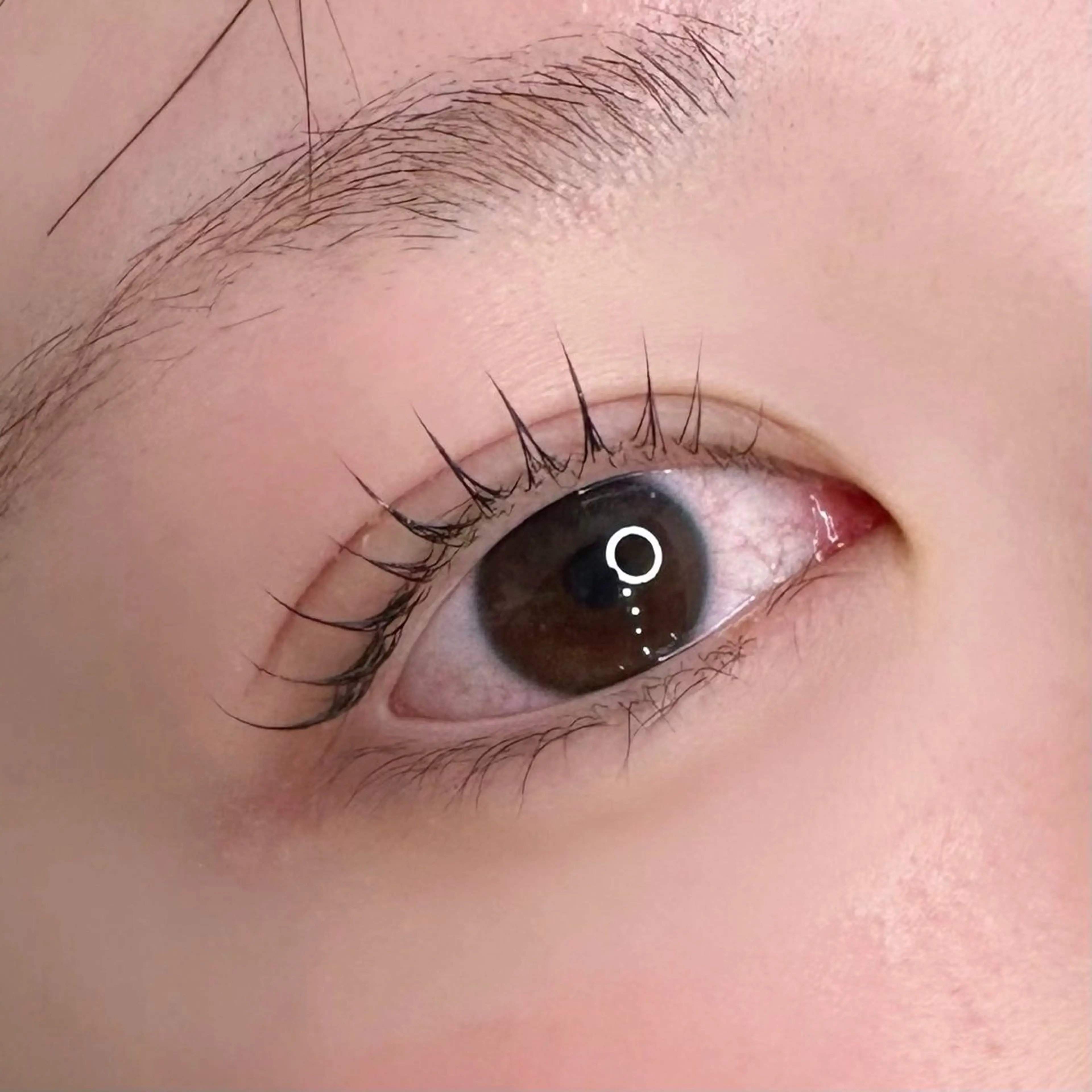 マツエク・マツパ Kellyeye ~sayakaのマツエク・マツパデザイン