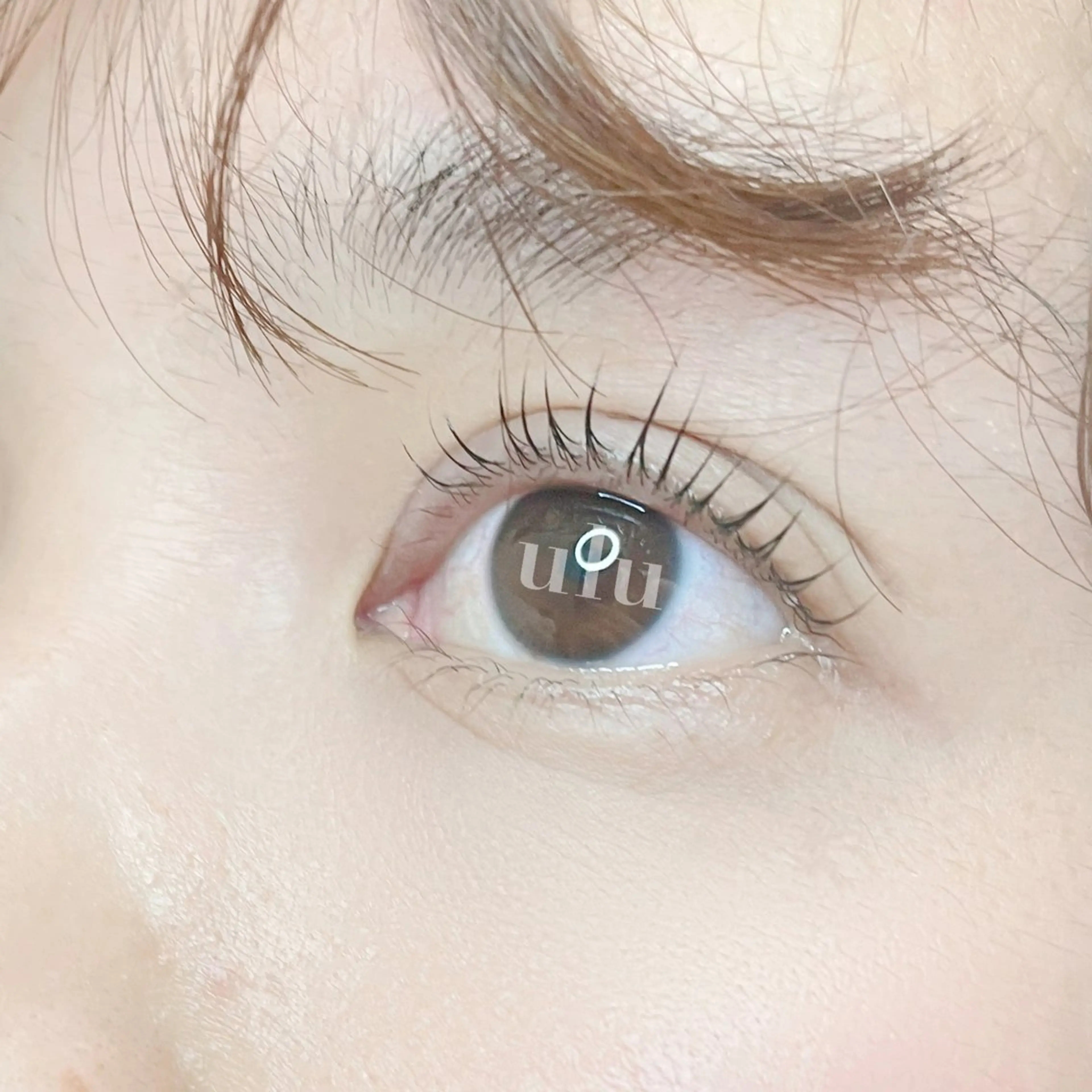 マツエク・マツパ Cカール 一重×まつ毛パーマ ulu MISAKI /ﾊﾟﾘ/ﾏﾂｴｸのマツエク・マツパデザイン