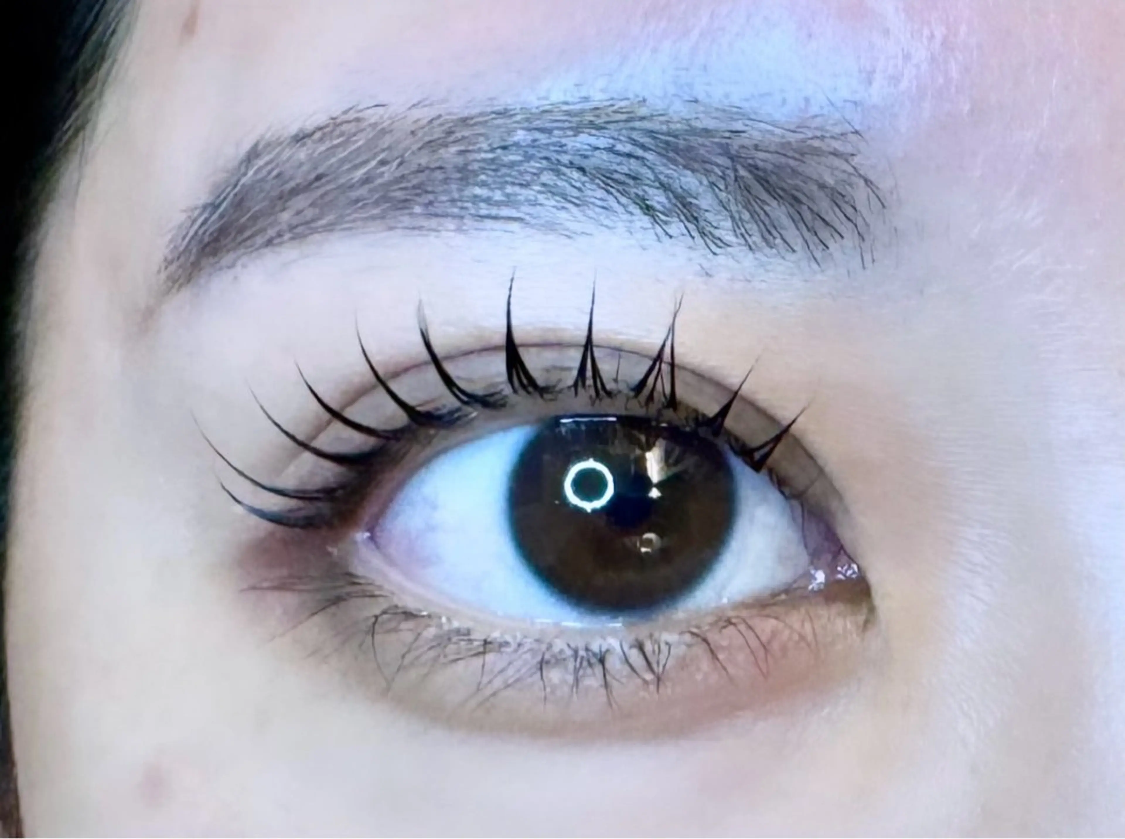 まつ毛パーマ(カールデザイン)【トリートメント&コーティング付き】🫧の写真