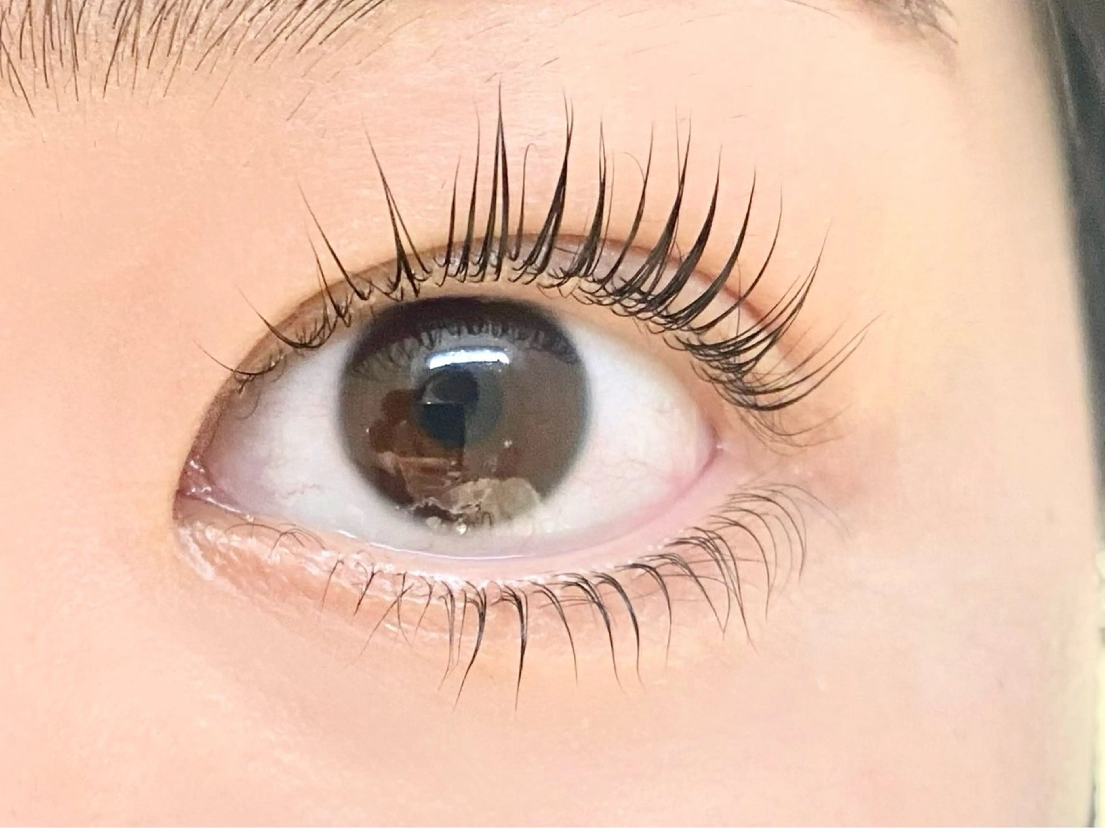 マツエク・マツパ Lowen 野原のマツエク・マツパデザイン