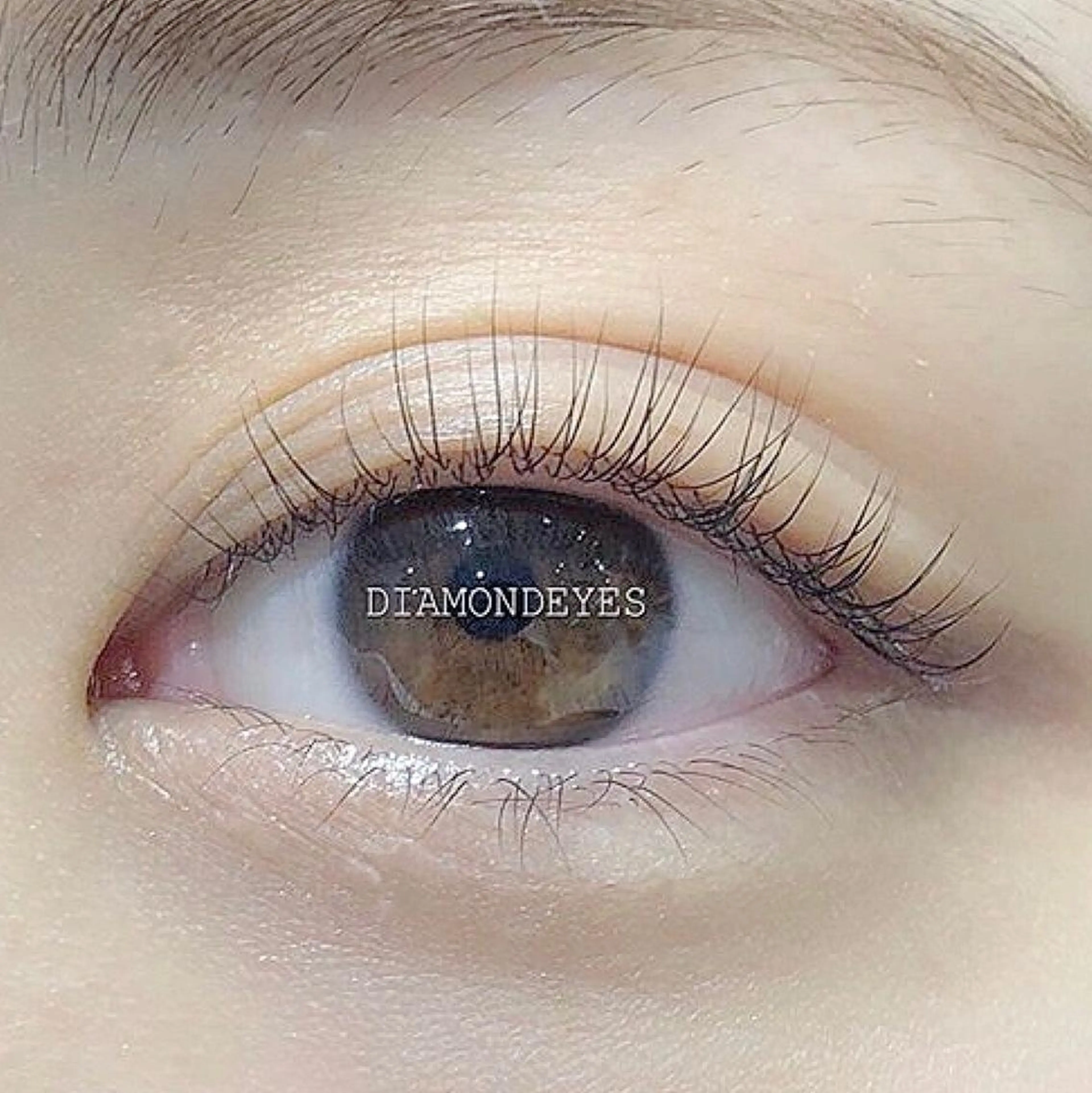 選べる🌼デザインラッシュリフト🌼（まつ毛パーマ）💖の写真