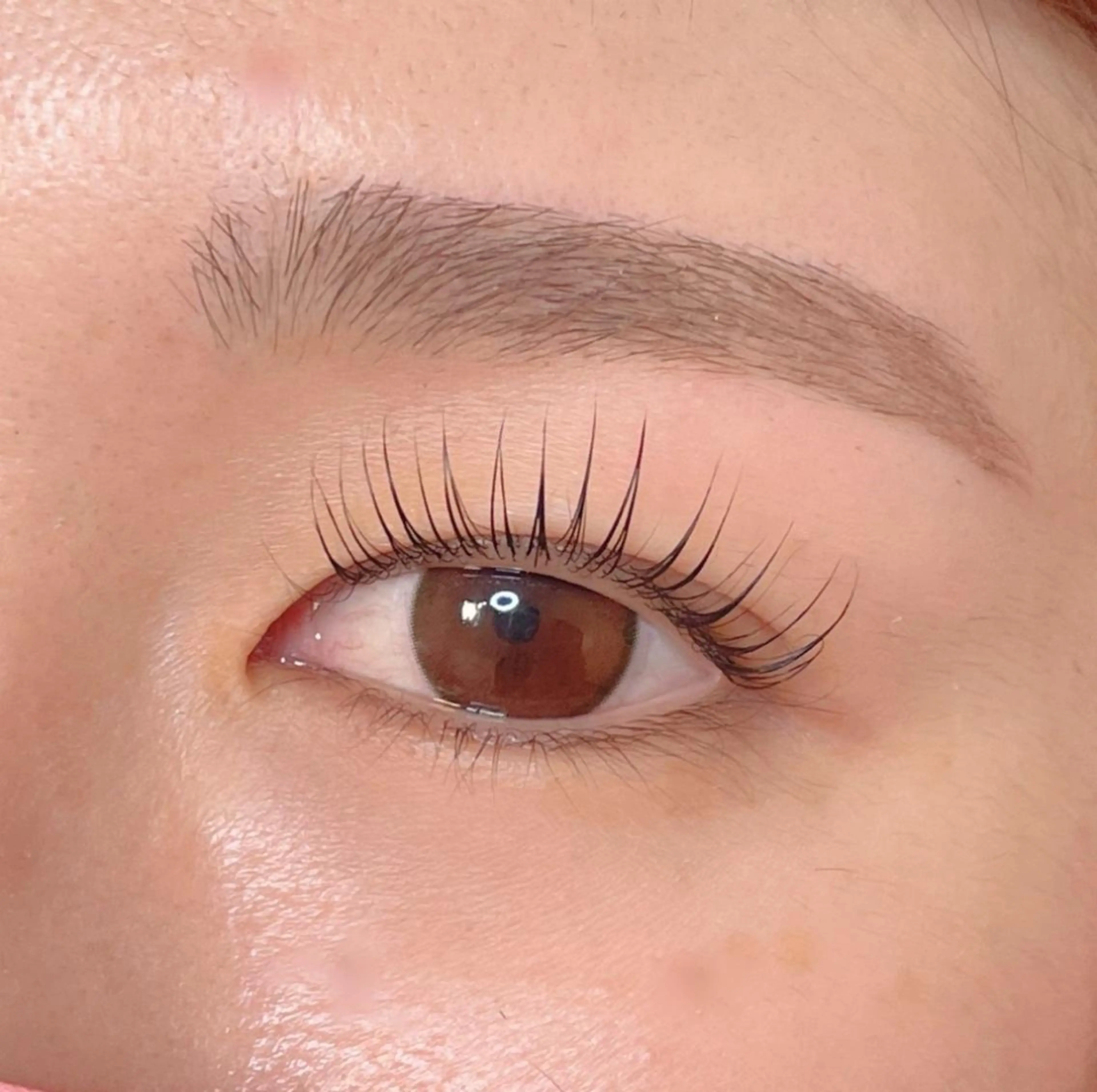 マツエク・マツパ パリジェンヌラッシュリフト Anela 🦋HARUMIの眉毛・アイブロウイメージ