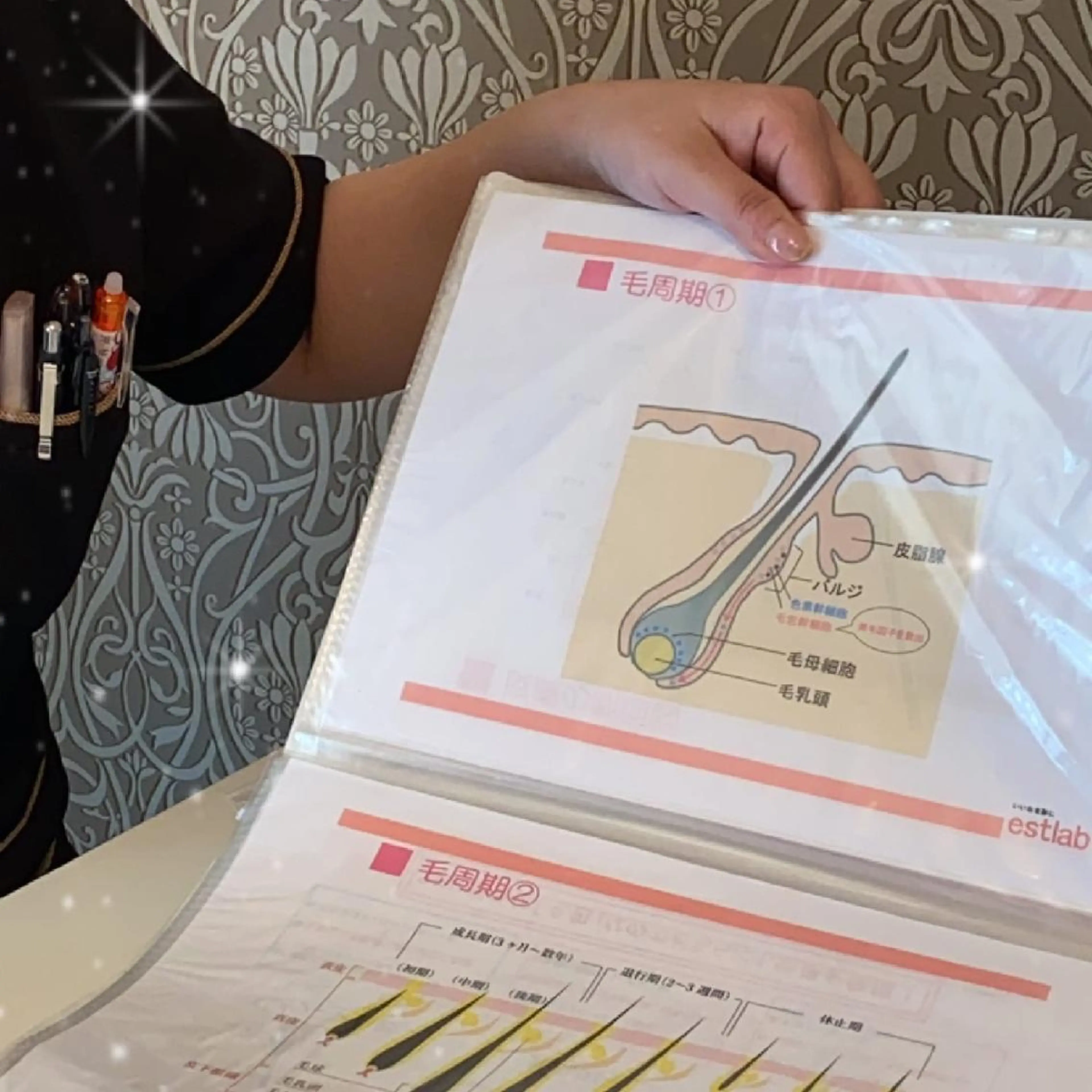 鈴木 愛花の眉毛・アイブロウイメージ