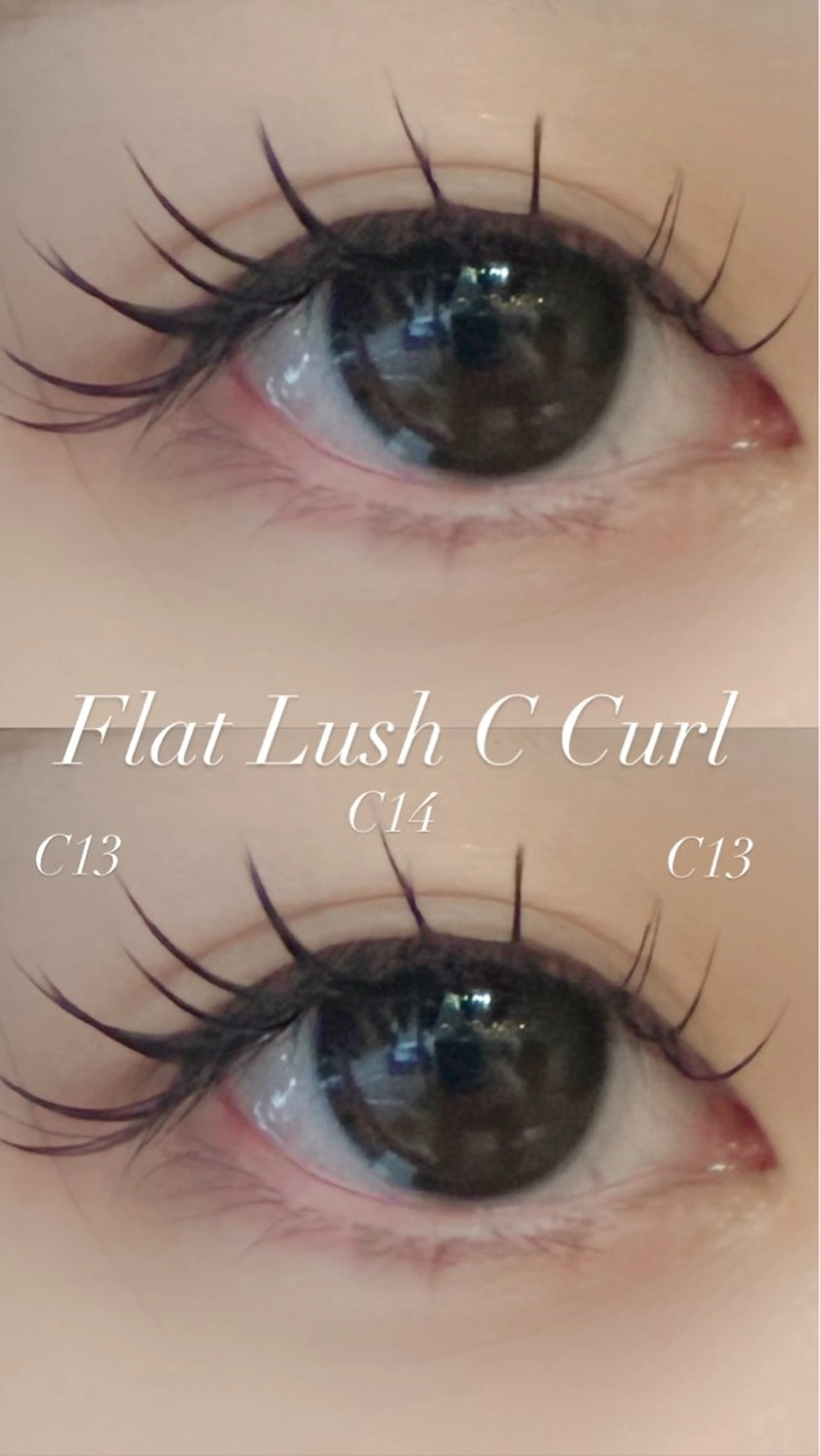 マツエク・マツパ マツエク Tripod しおんのマツエク・マツパデザイン