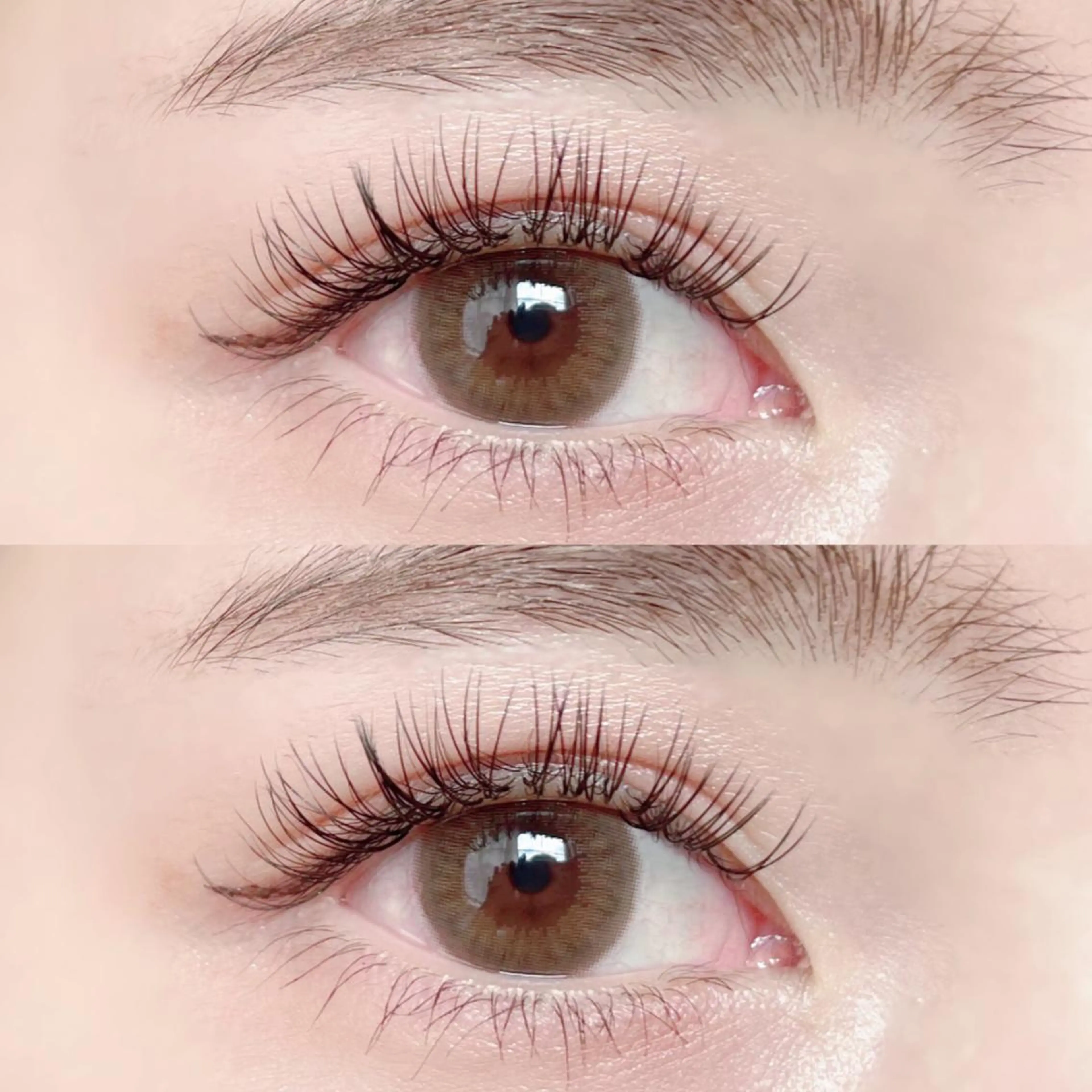 自まつ毛が抜けるまで取れない最強持続力！フラットキープラッシュ80set(160本)の写真