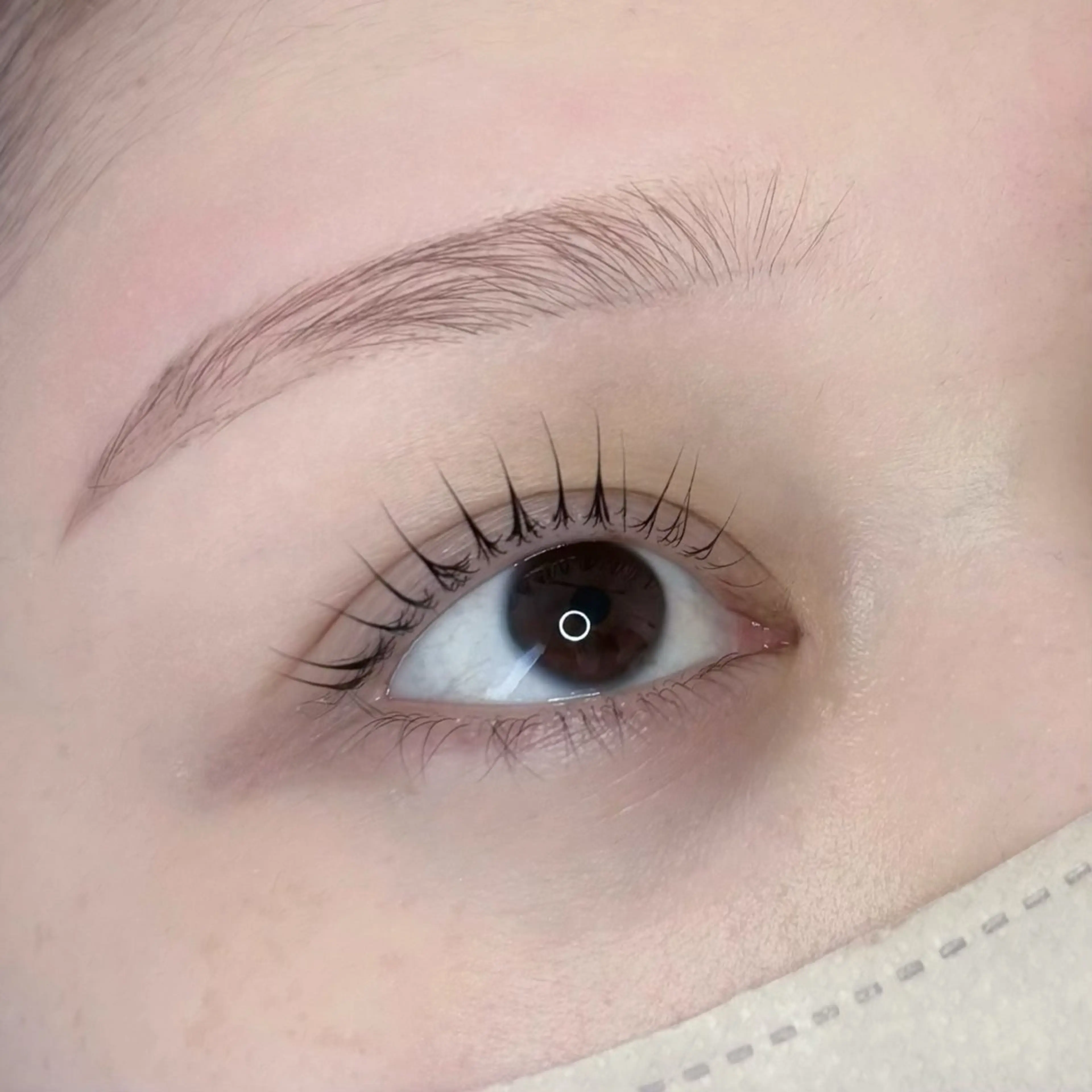 アイブロウ 眉カラー eyelist ✵ Itsukiのマツエク・マツパデザイン