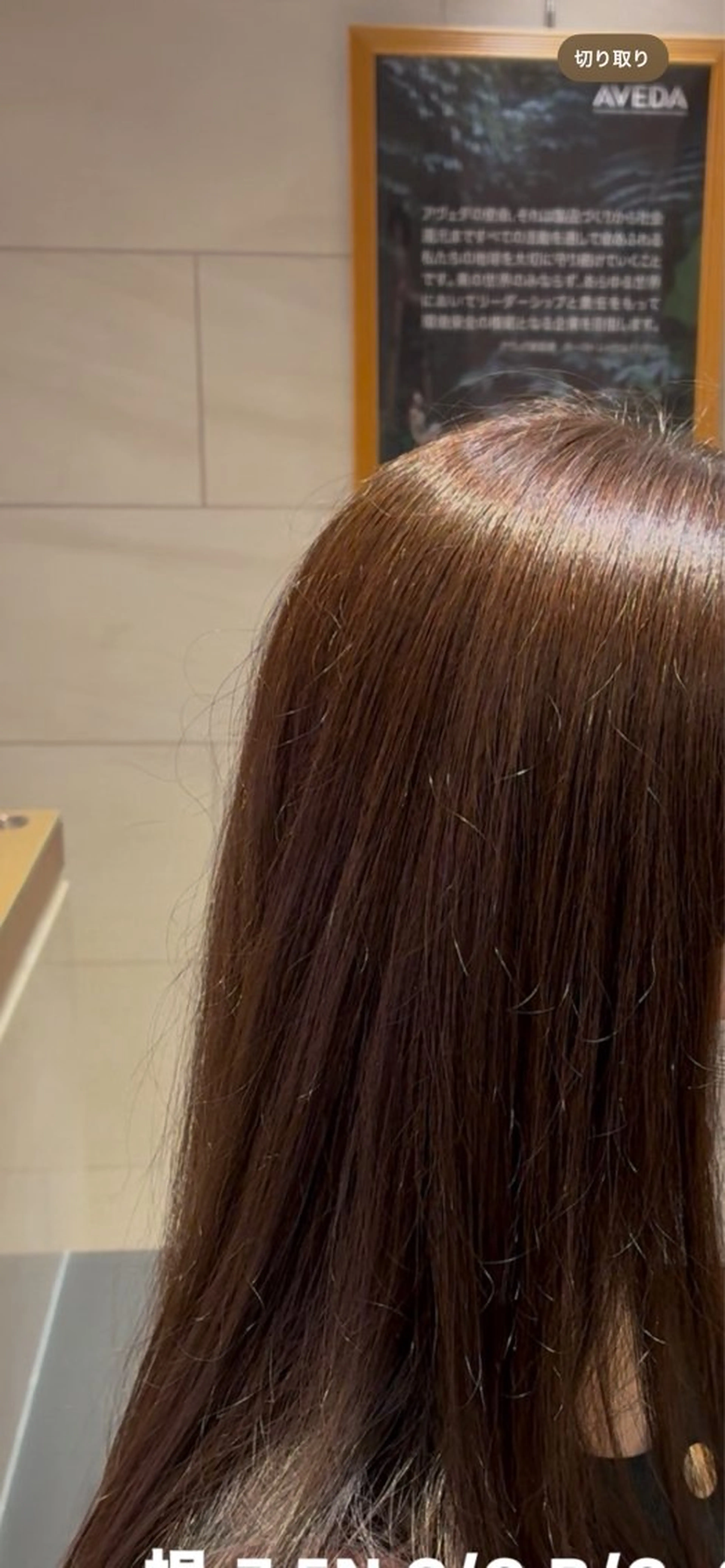 ミディアム カラー メンズ ブラウンカラー 透明感カラー 秋山 優雅のヘアスタイル