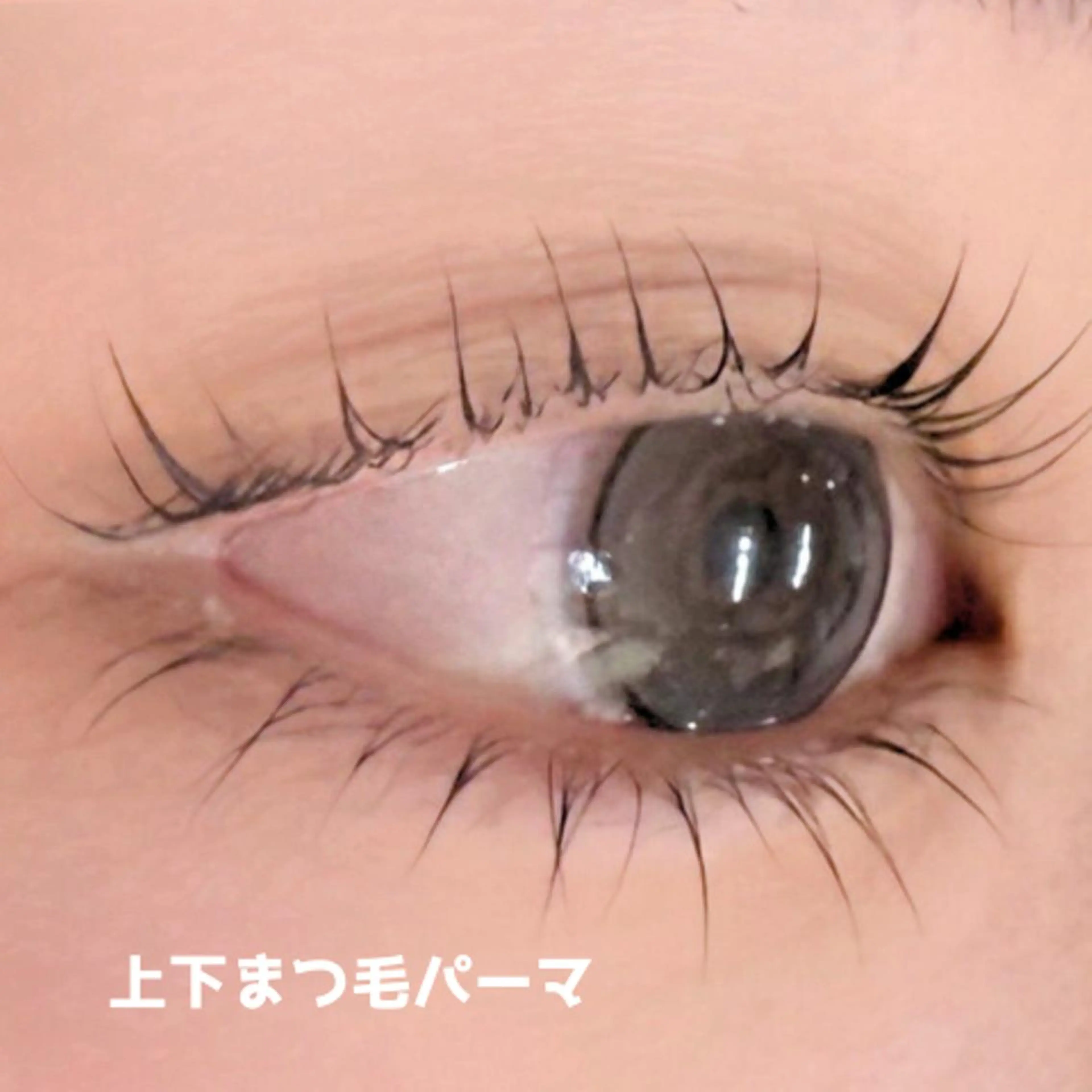 マツエク・マツパ 下まつげエクステ 一重×まつ毛パーマ franfika かりごめのマツエク・マツパデザイン