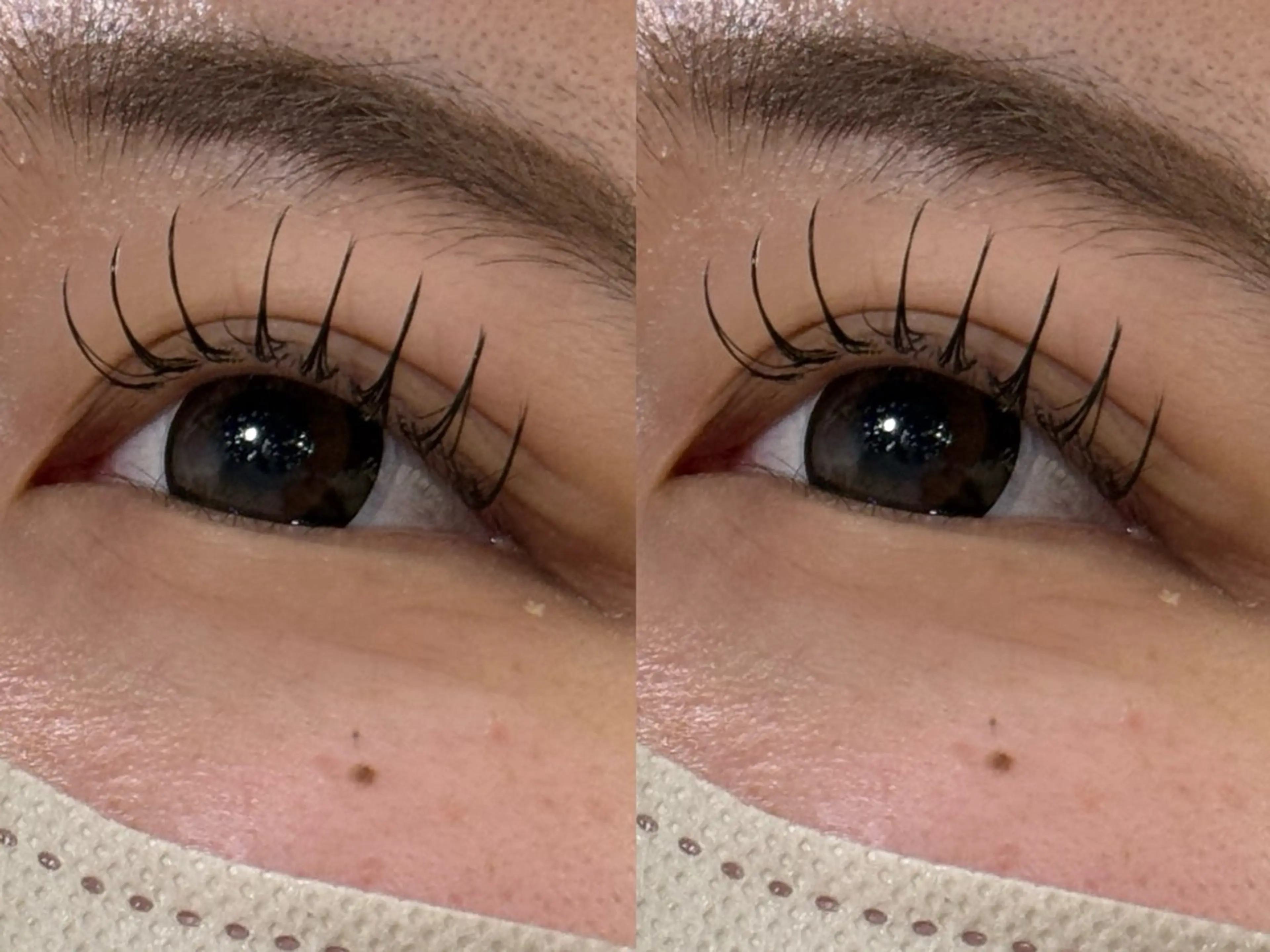 マツエク・マツパ マツエク 透明感ツヤカラー/ アイリスト/ゆきなのマツエク・マツパデザイン