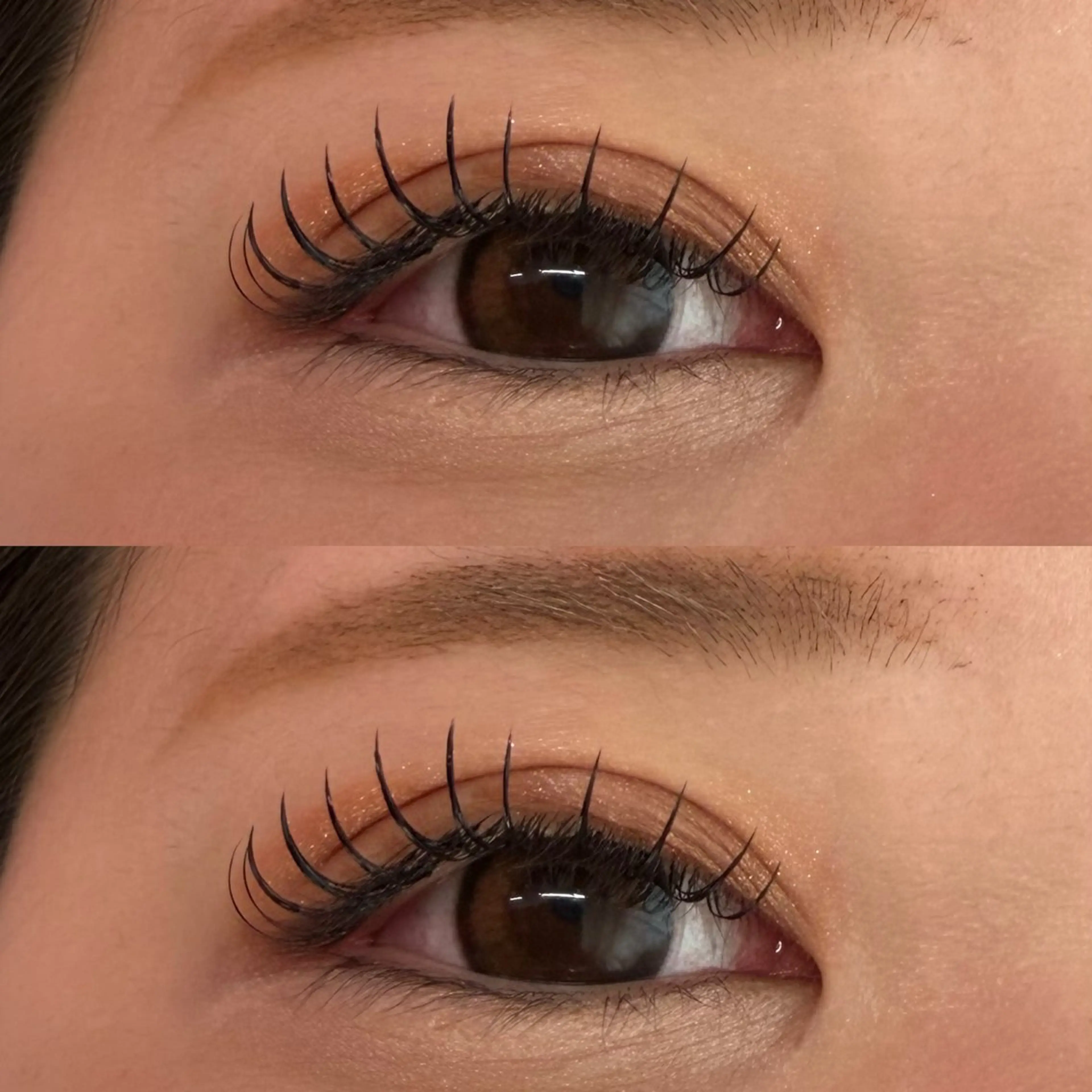 【ミニモ限定】✨LEDフラットラッシュ120本¥7000の写真