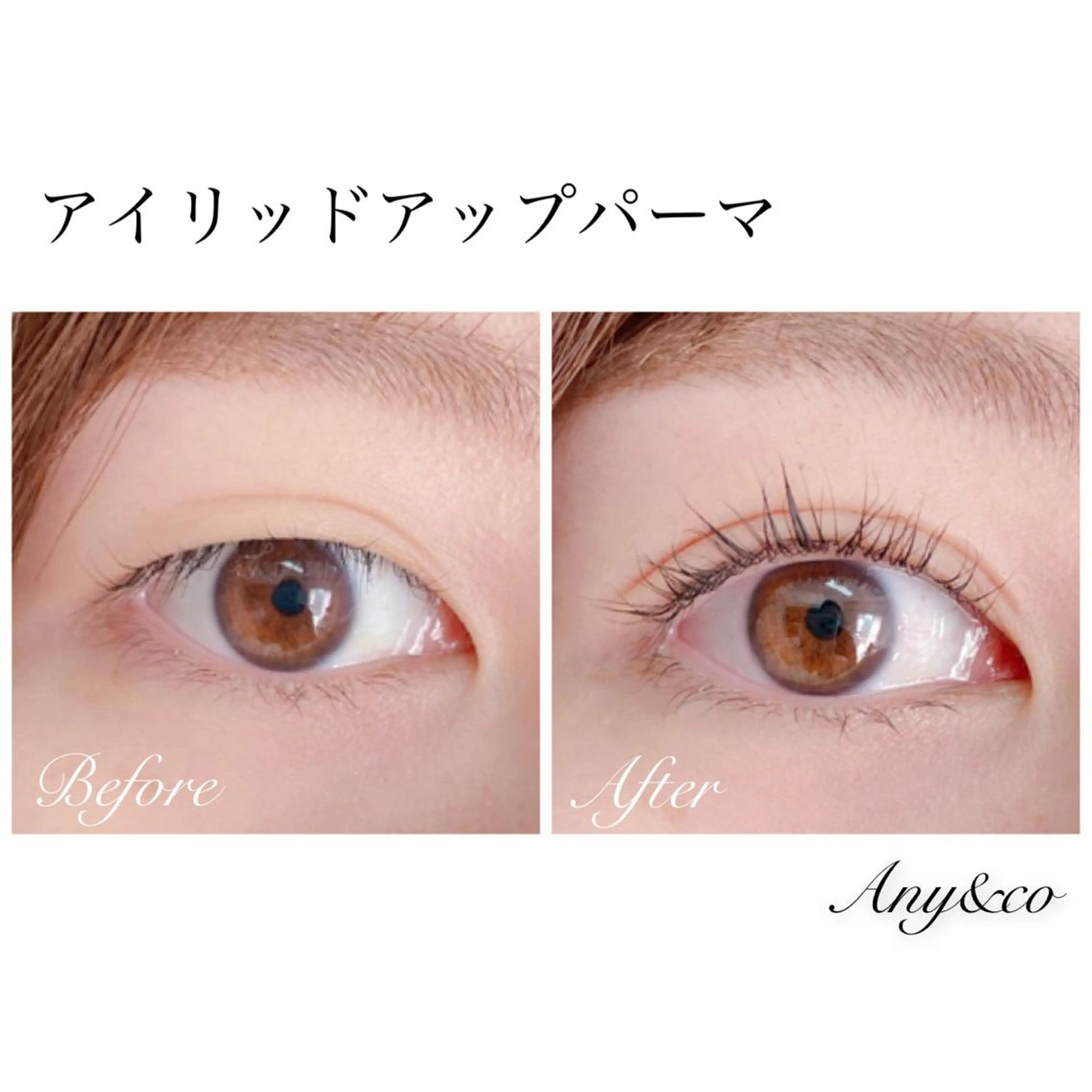 マツエク・マツパ アイリッドアップパーマ Any&co 【エニコ】のマツエク・マツパデザイン