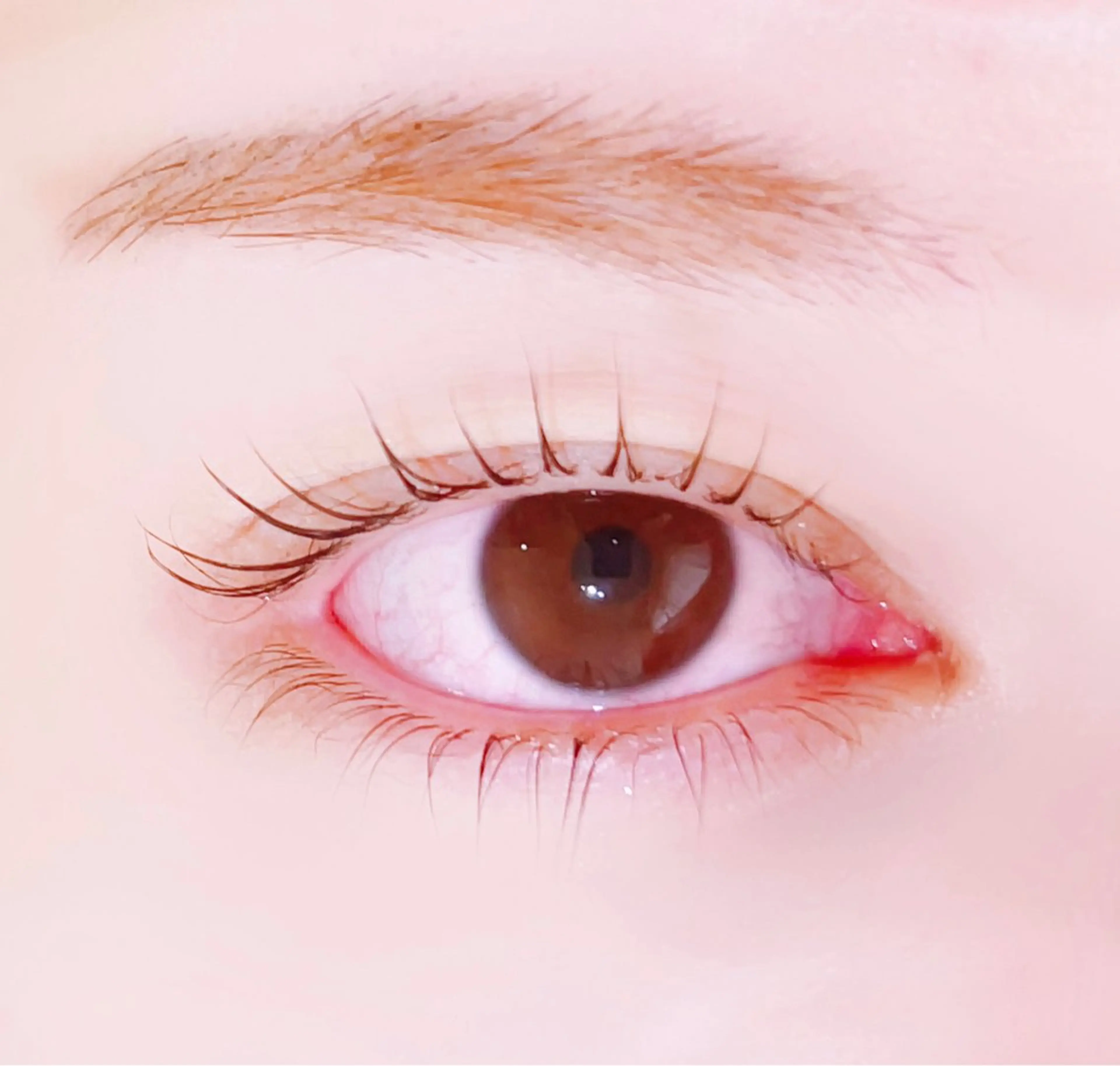 マツエク・マツパ R🌹 ⁺⊹˚.のマツエク・マツパデザイン