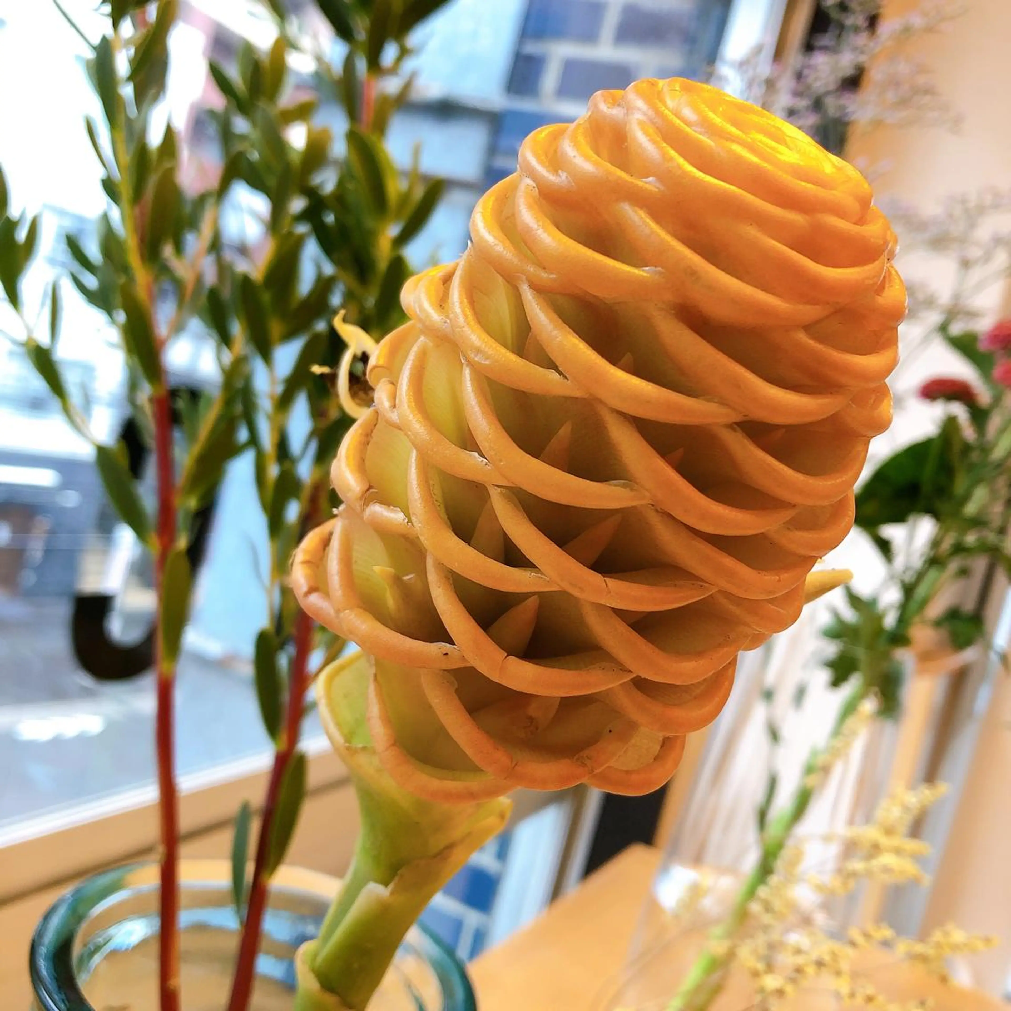 マツエク・マツパ なかむら 🪡のマツエク・マツパデザイン