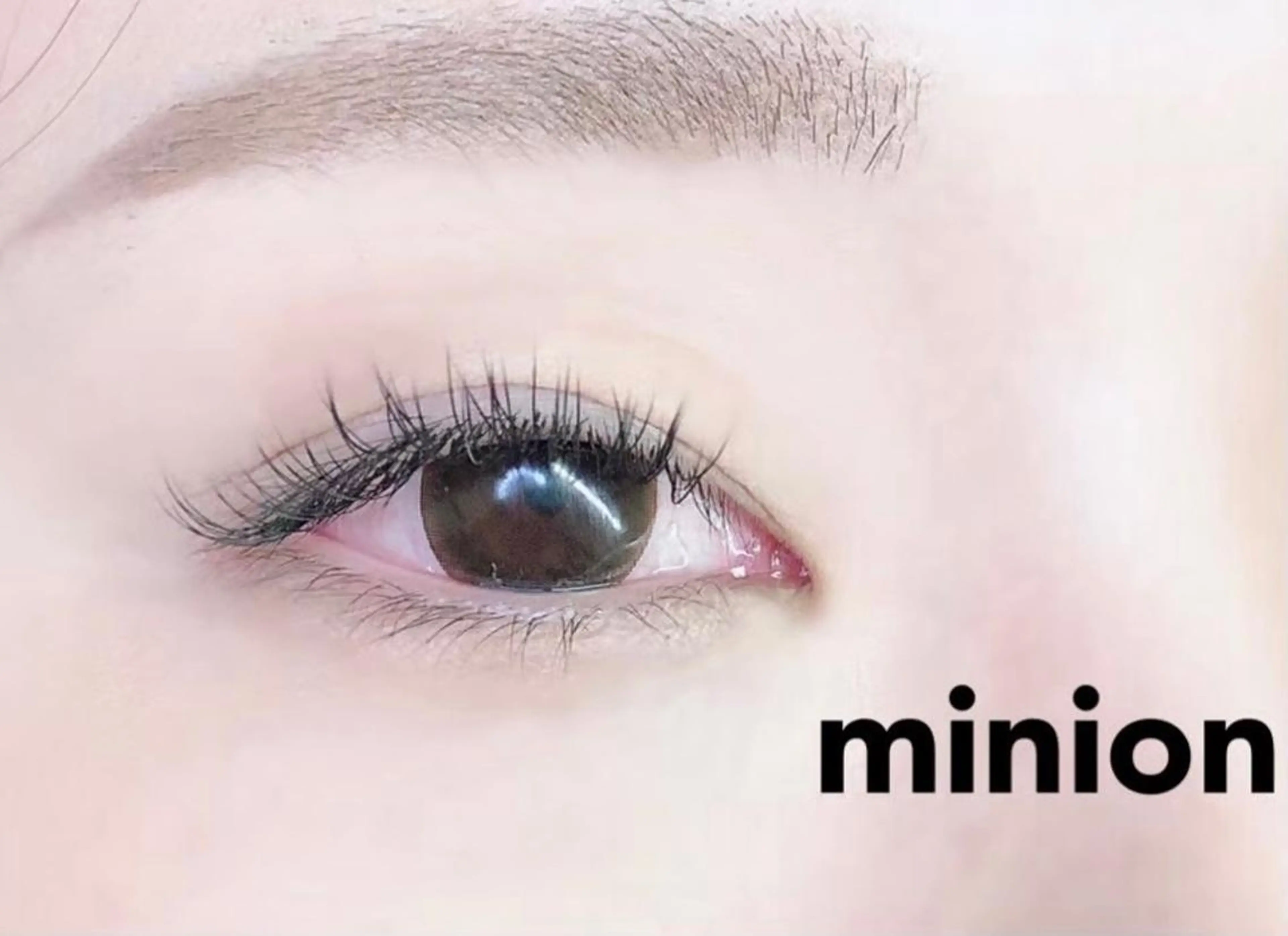 【フラットラッシュシングルエクステ100本👀】の写真