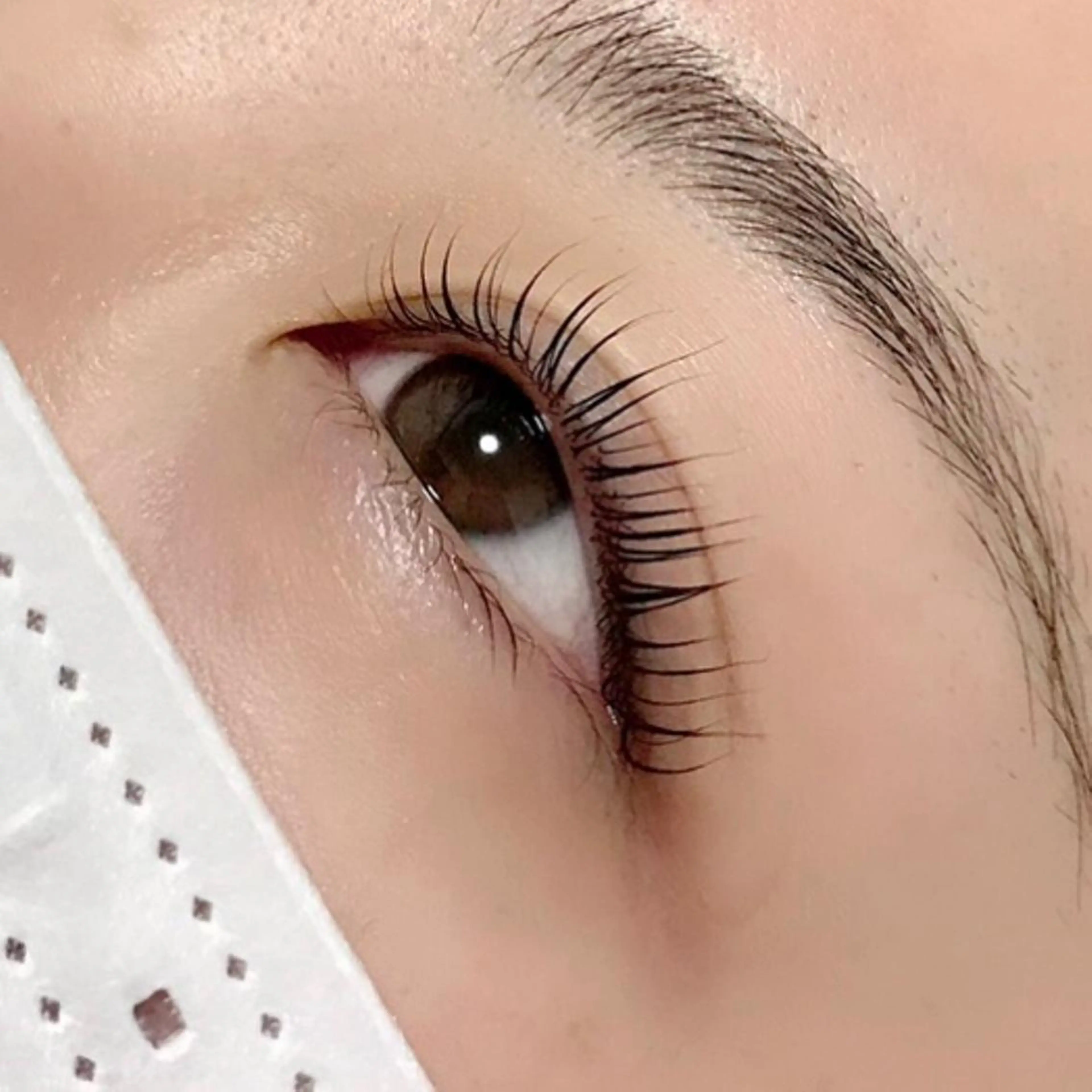 マツエク・マツパ マツパ Lily Eyelashのマツエク・マツパデザイン