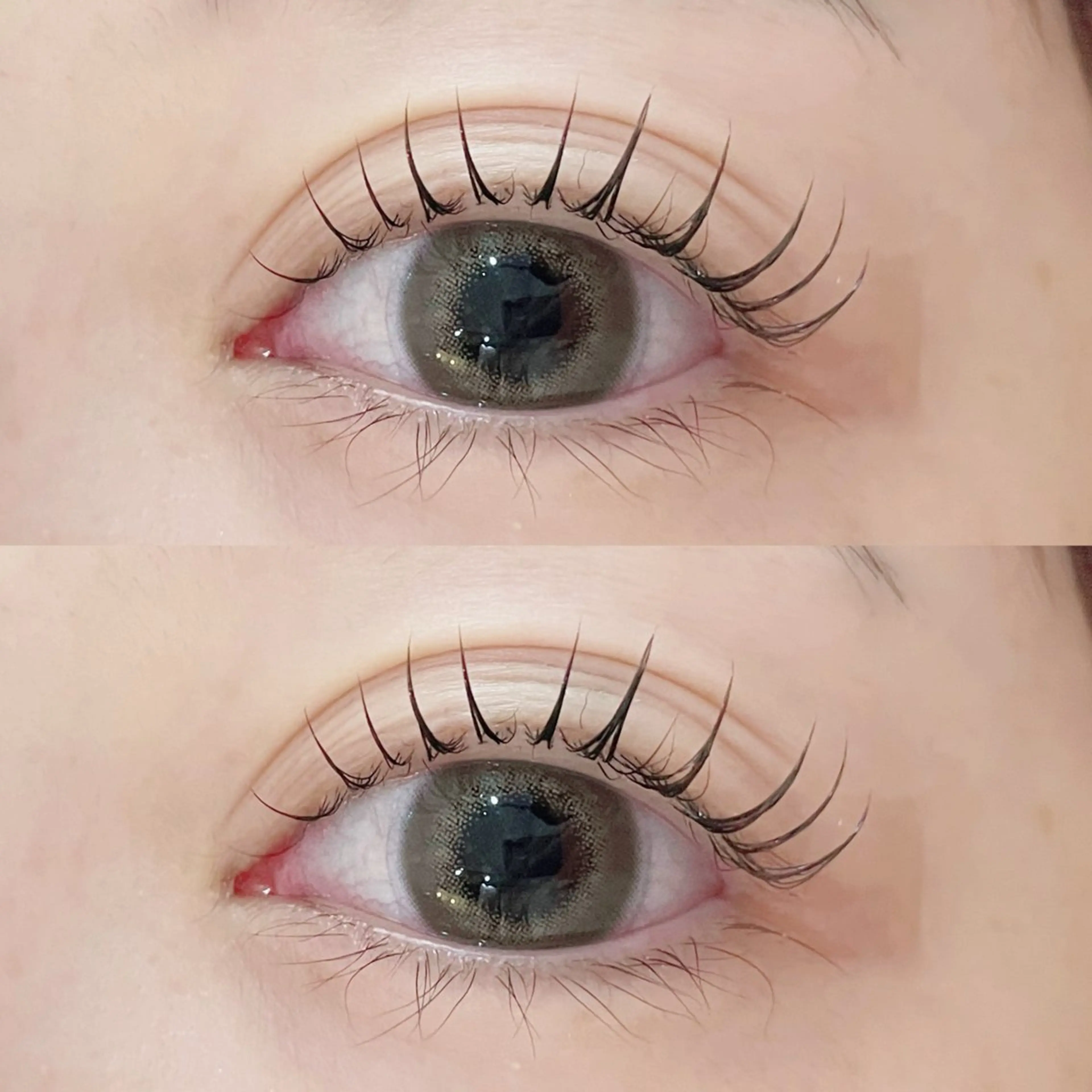 【4/16~17限定-`📢 】まつ毛パーマor パリジェンヌ🪼🩵 美容液コーティング付🫧の写真