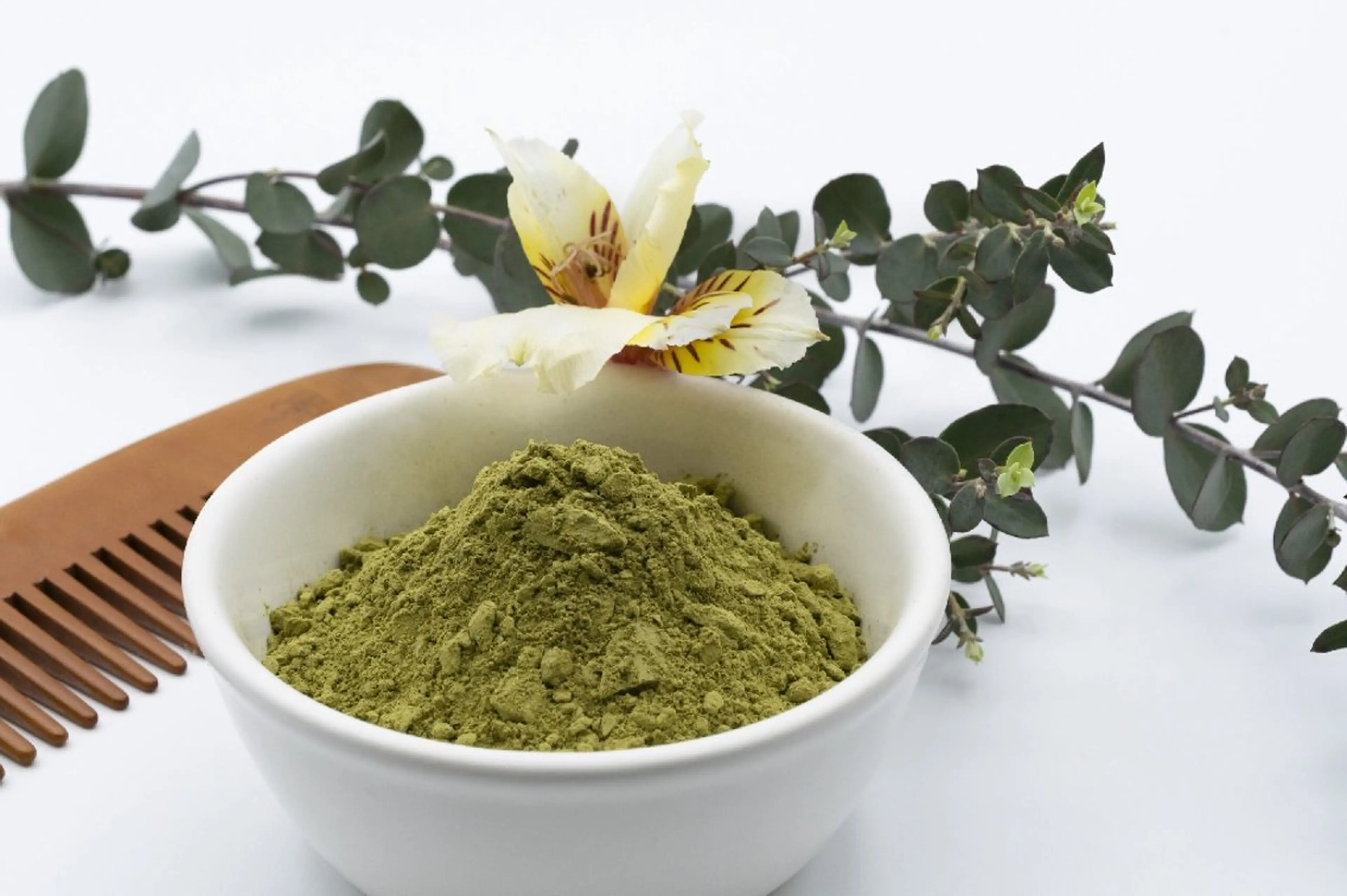 カラー ヘナカラー ヘアカラー 大石 由衣の眉毛・アイブロウイメージ