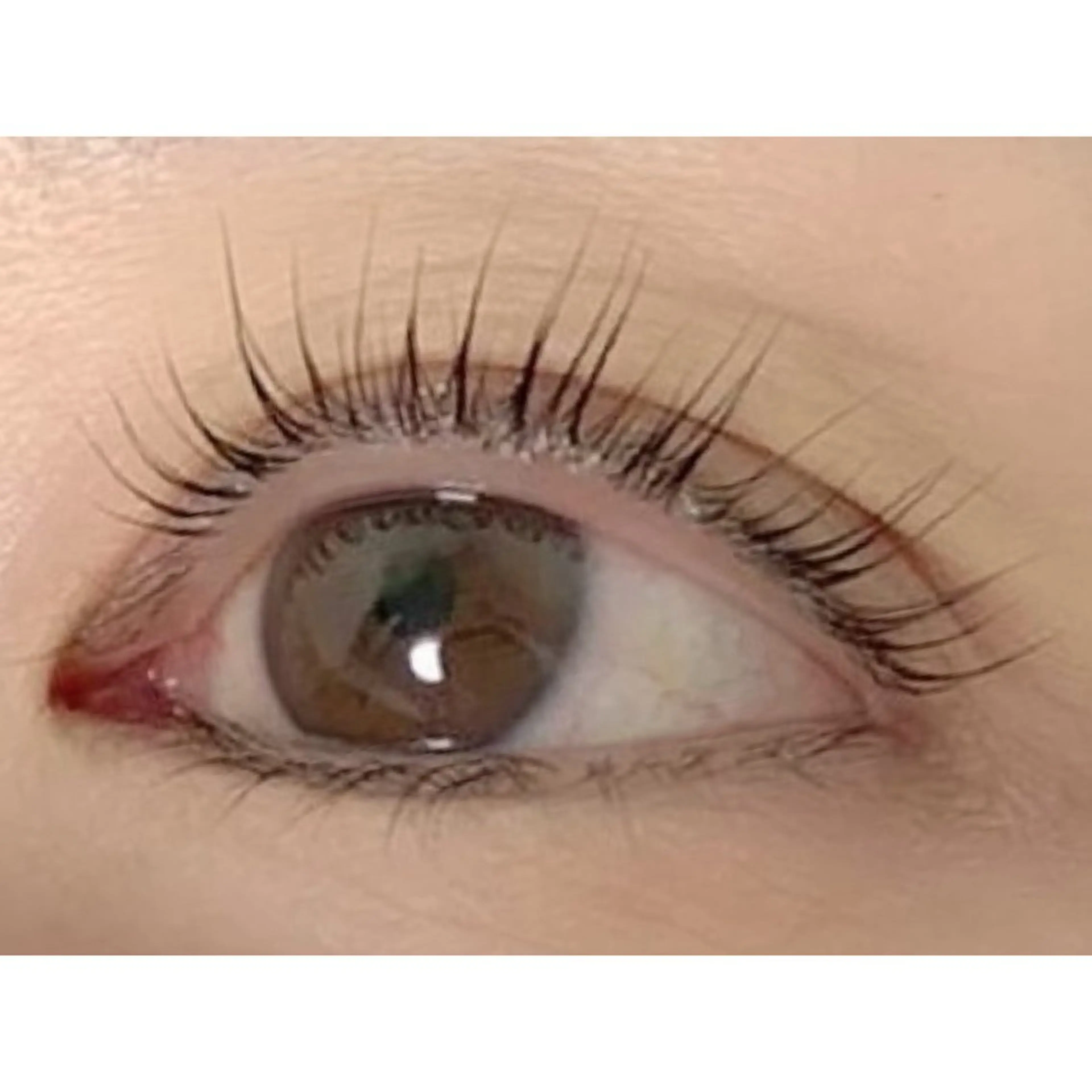 マツエク・マツパ アイラッシュサロンLuz町田店所属・Luz町田店 工藤の眉毛・アイブロウイメージ